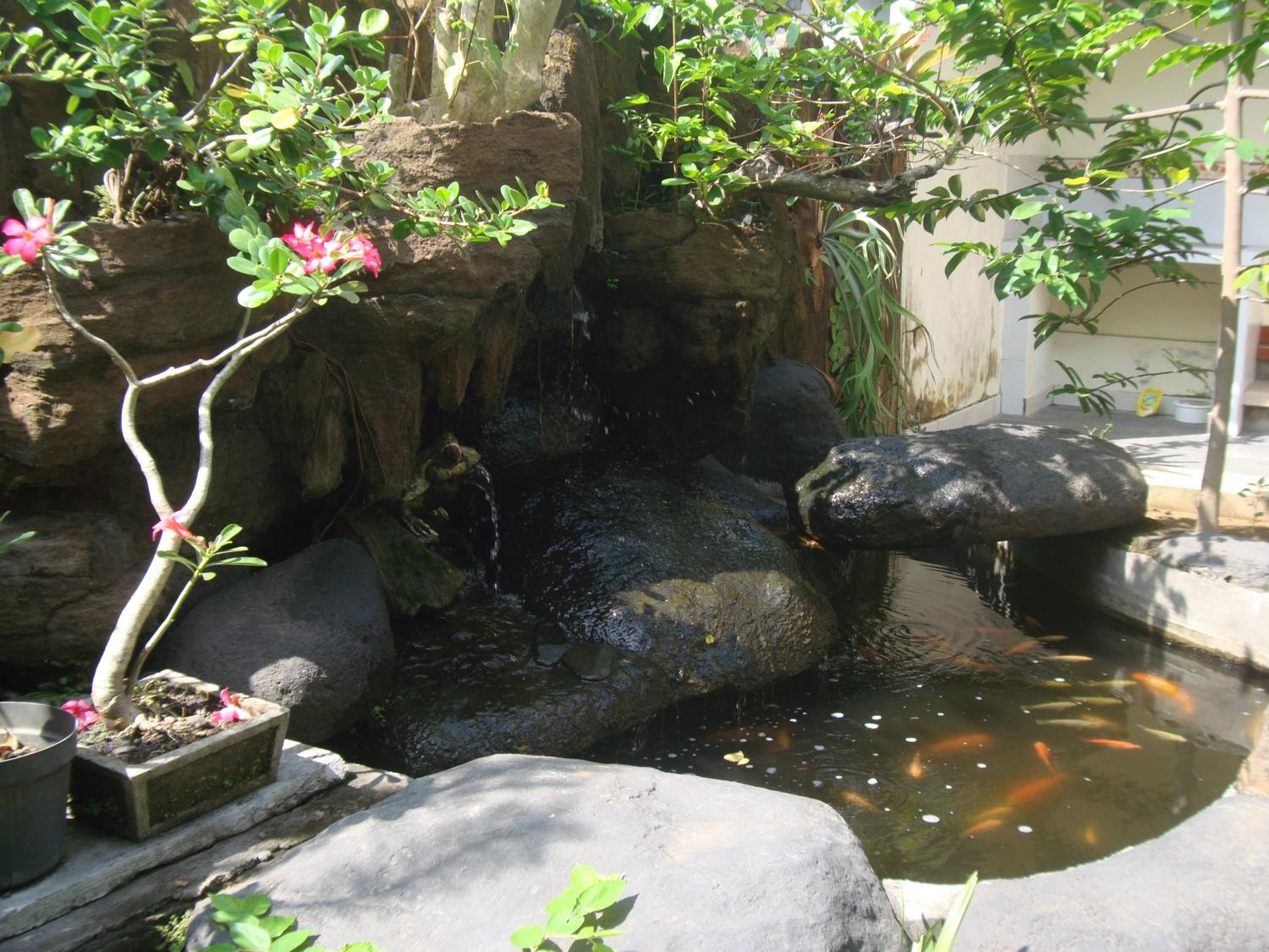 Gusti Home Stay Ubud view 2