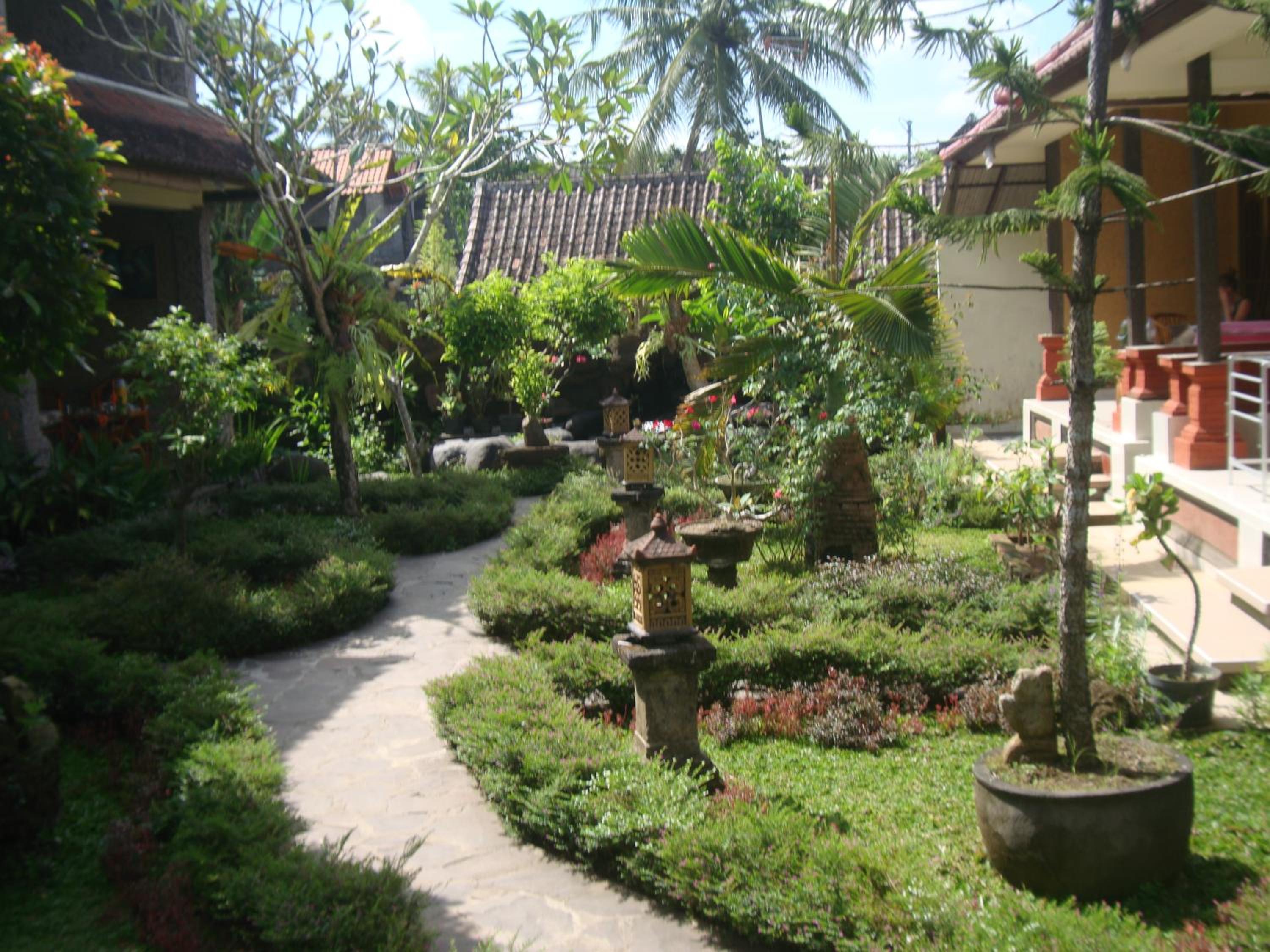 Photo 6