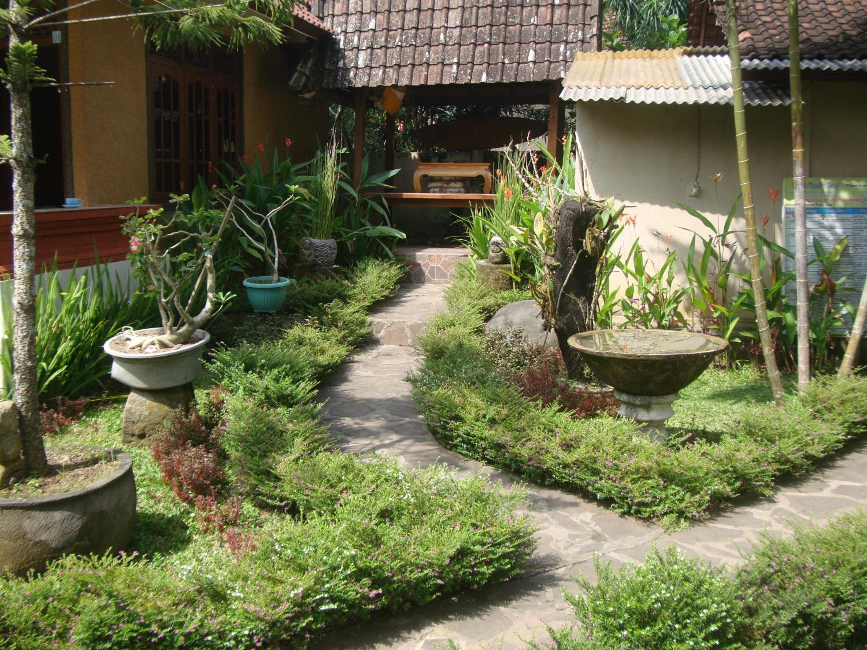 Photo 51