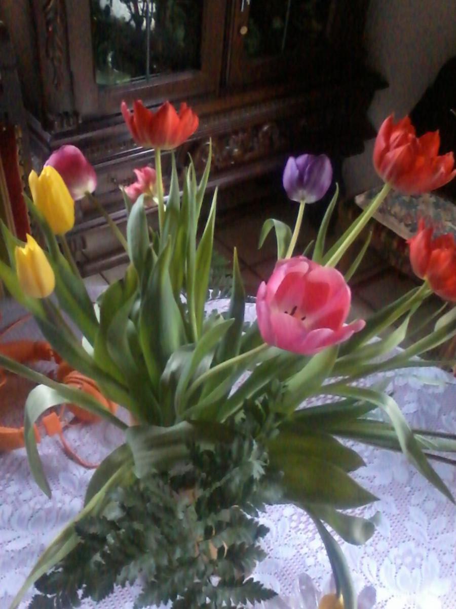 Photo 20