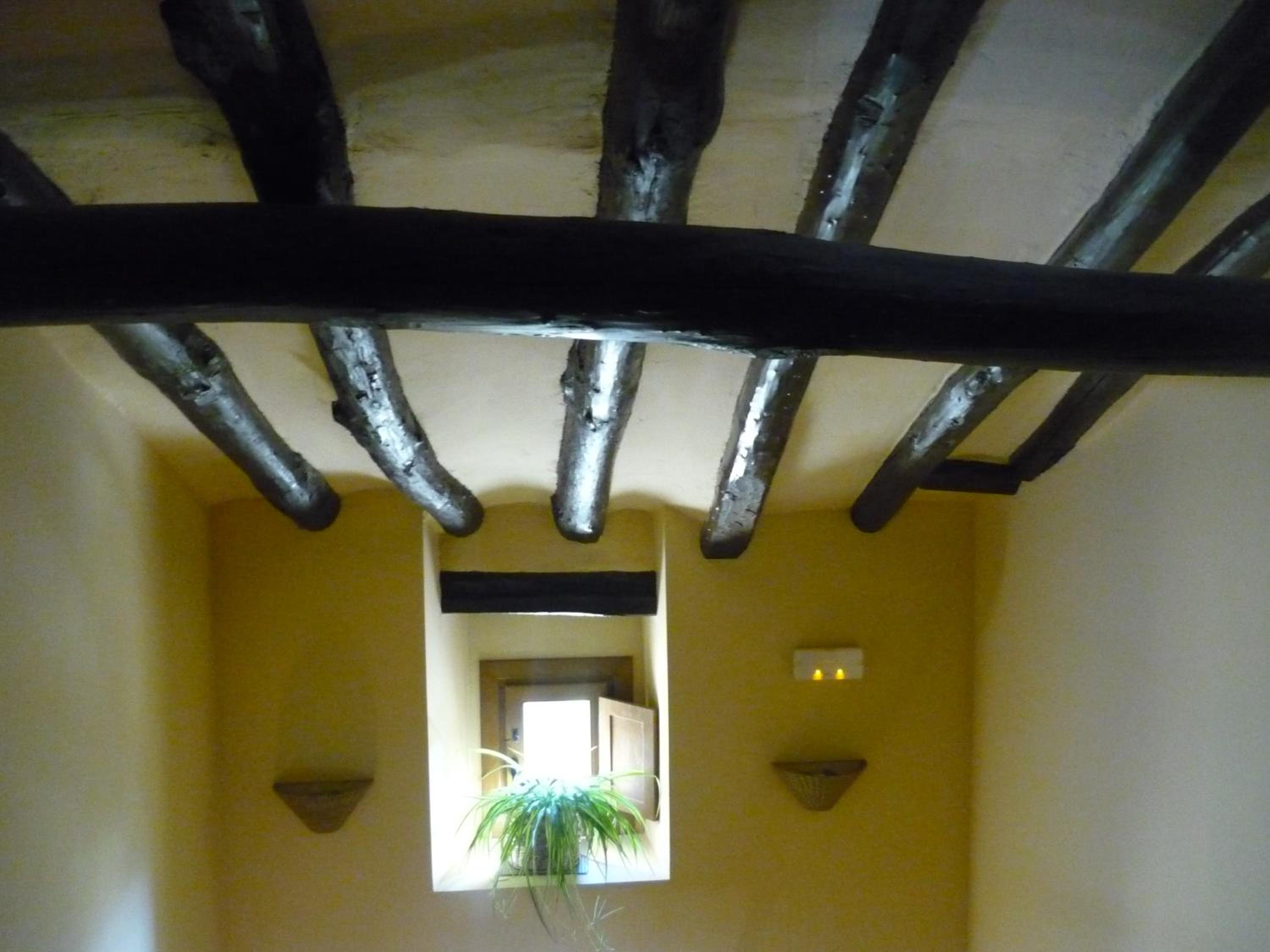 Photo 43