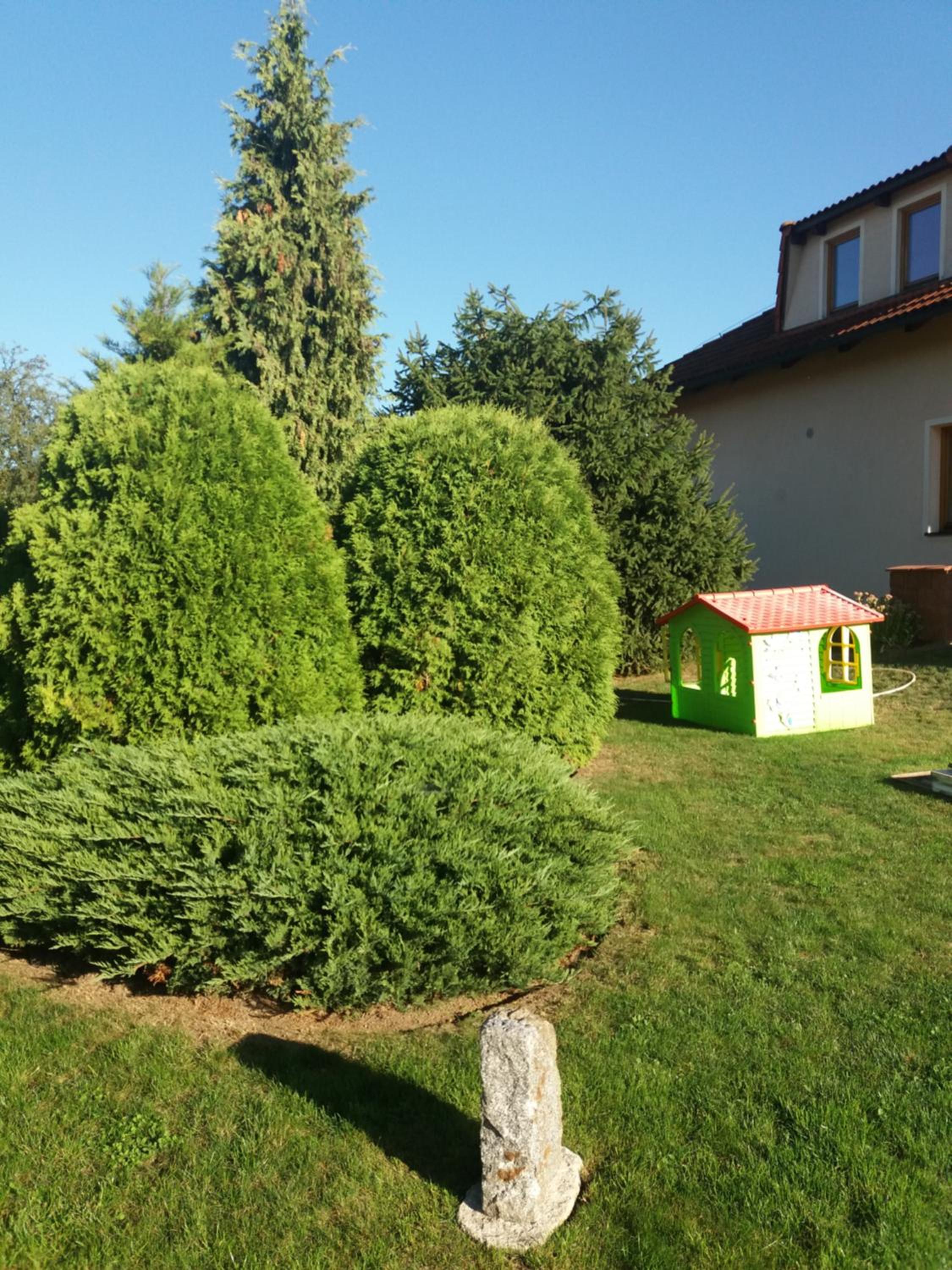 Photo 39