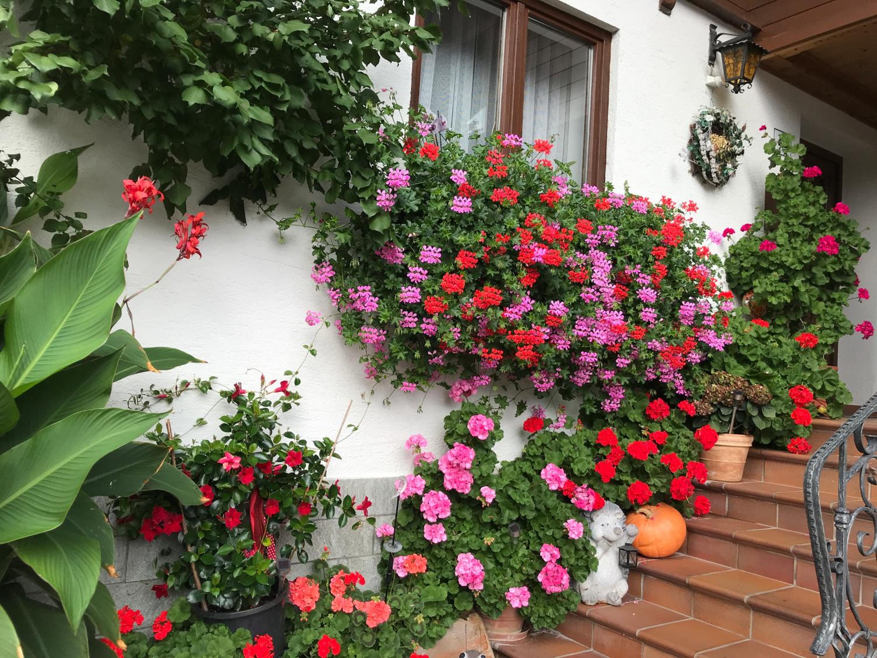 Haus Katharina