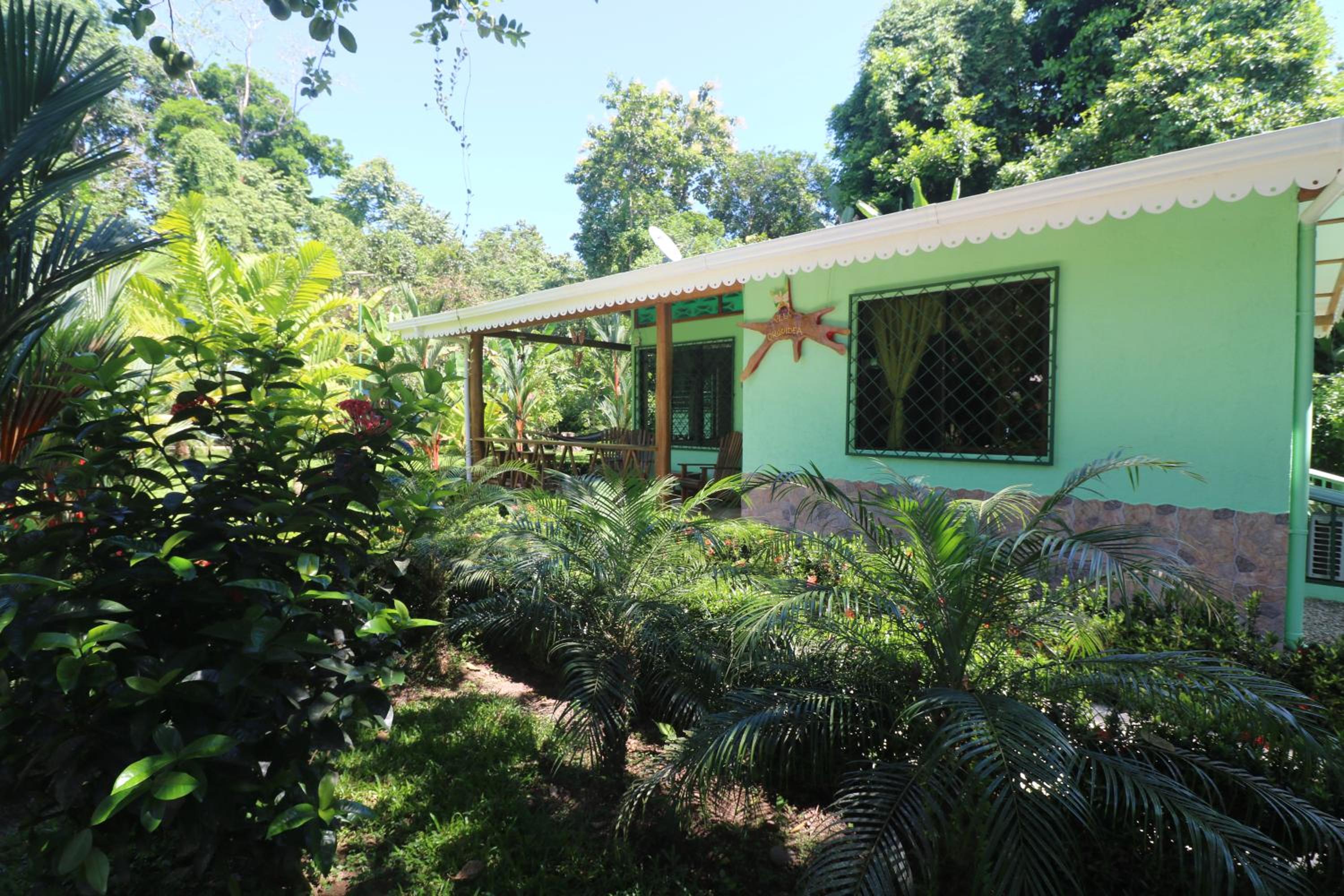 New Caribe Point