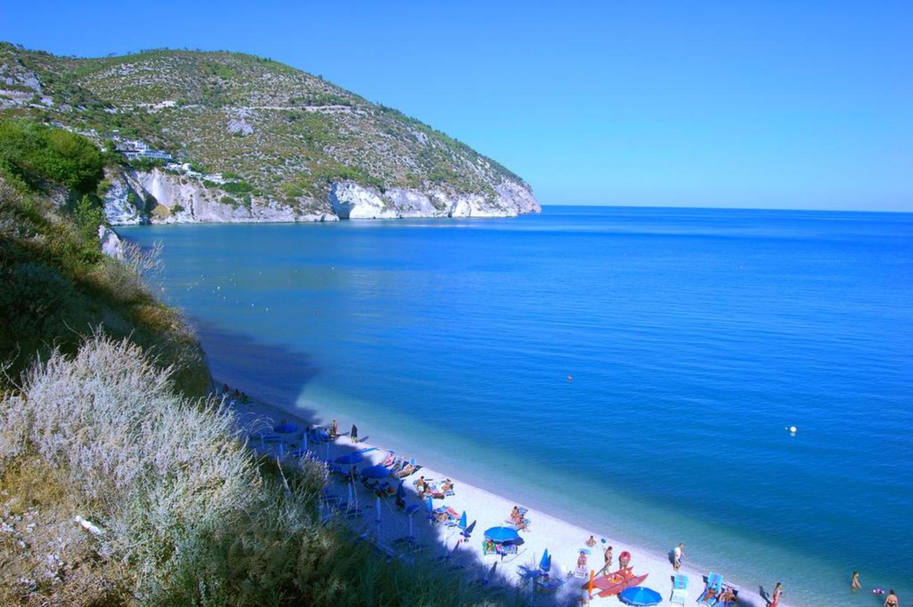 other