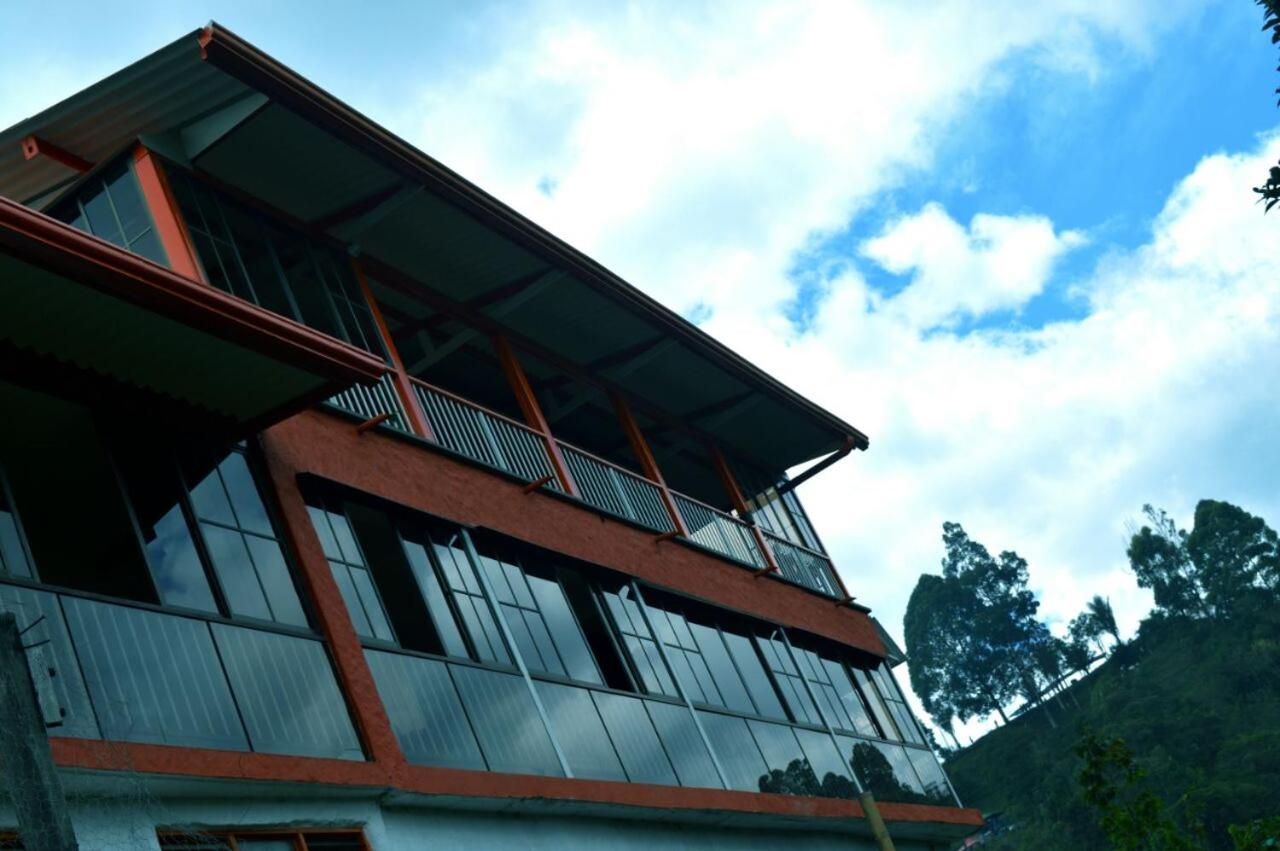 Mirador de los Cedros