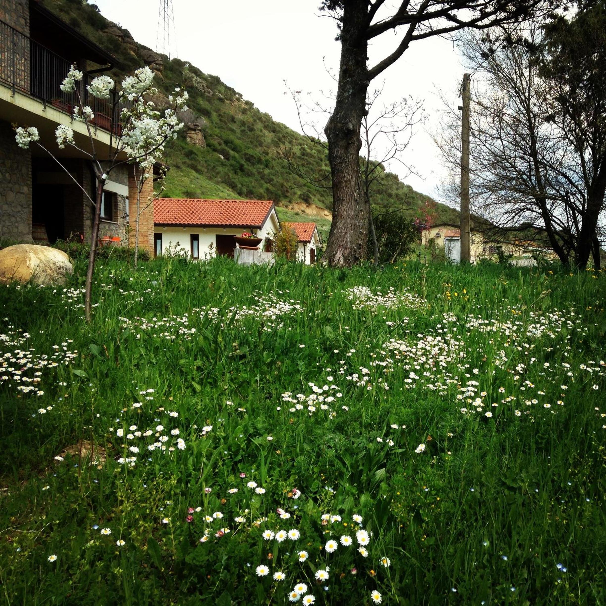 Photo 20