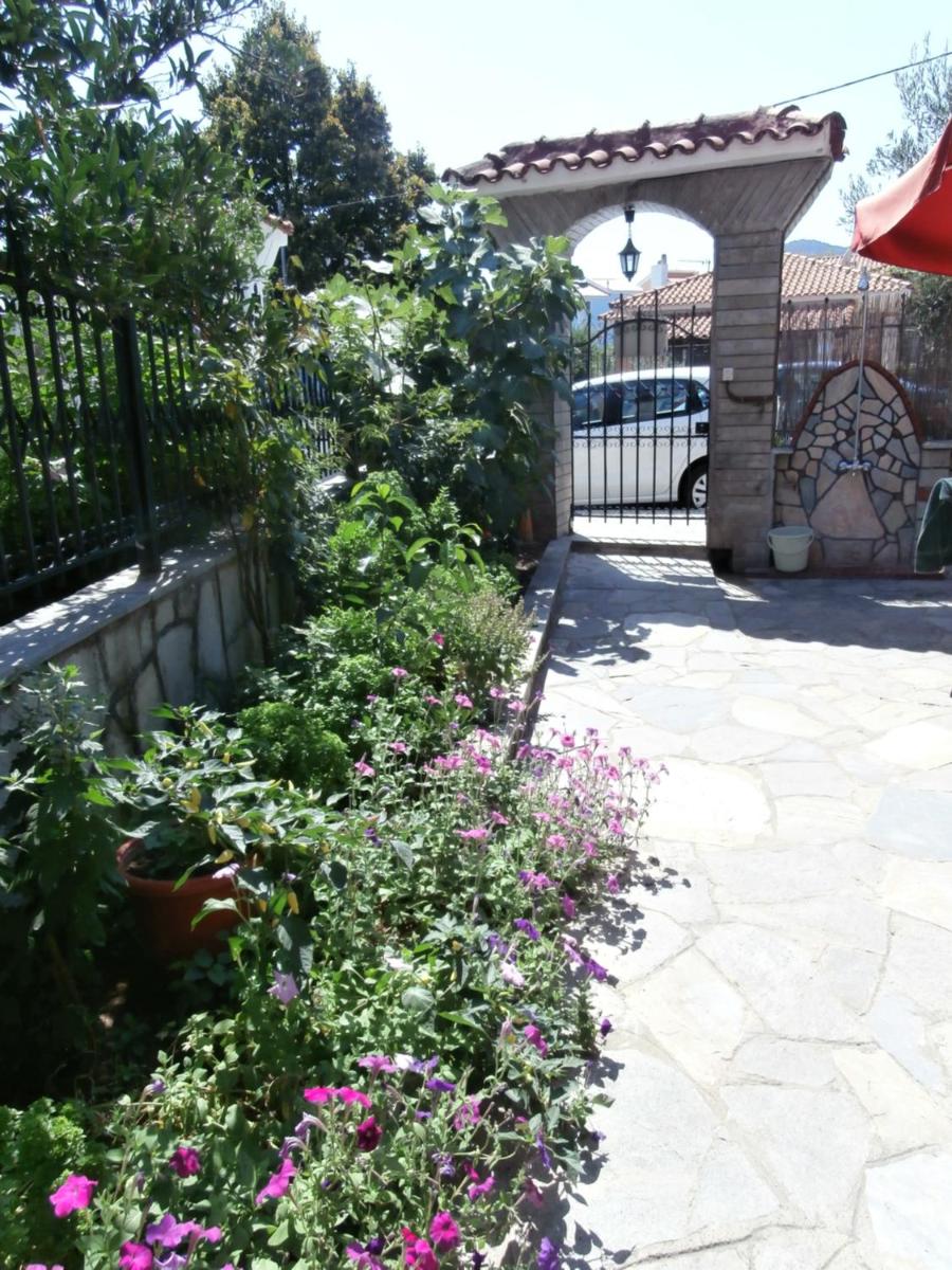 Photo 28