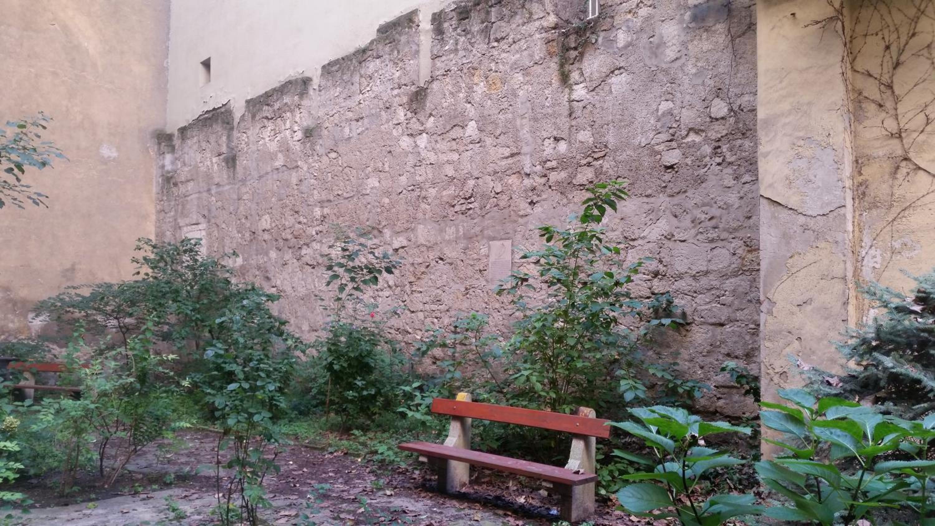 Photo 29
