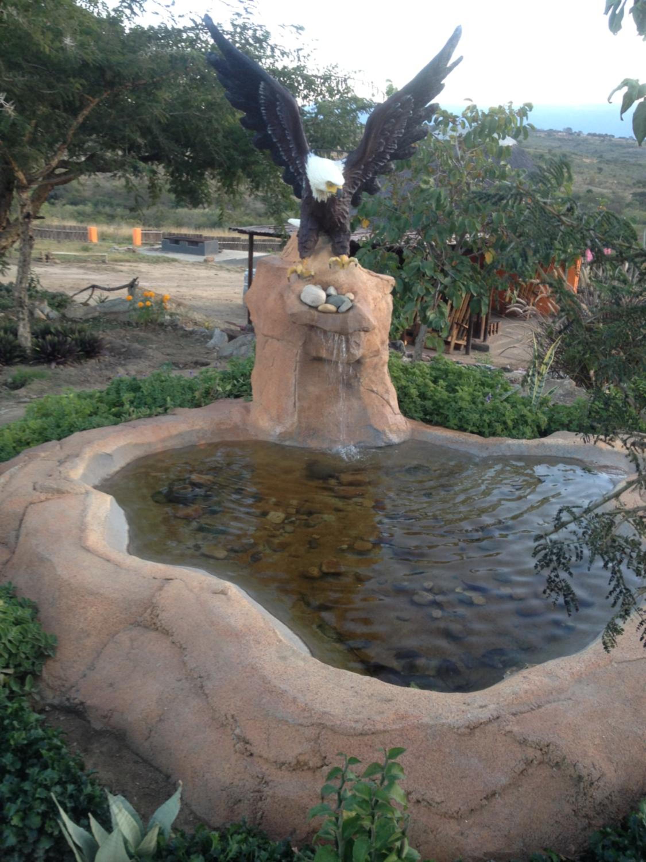 Photo 6