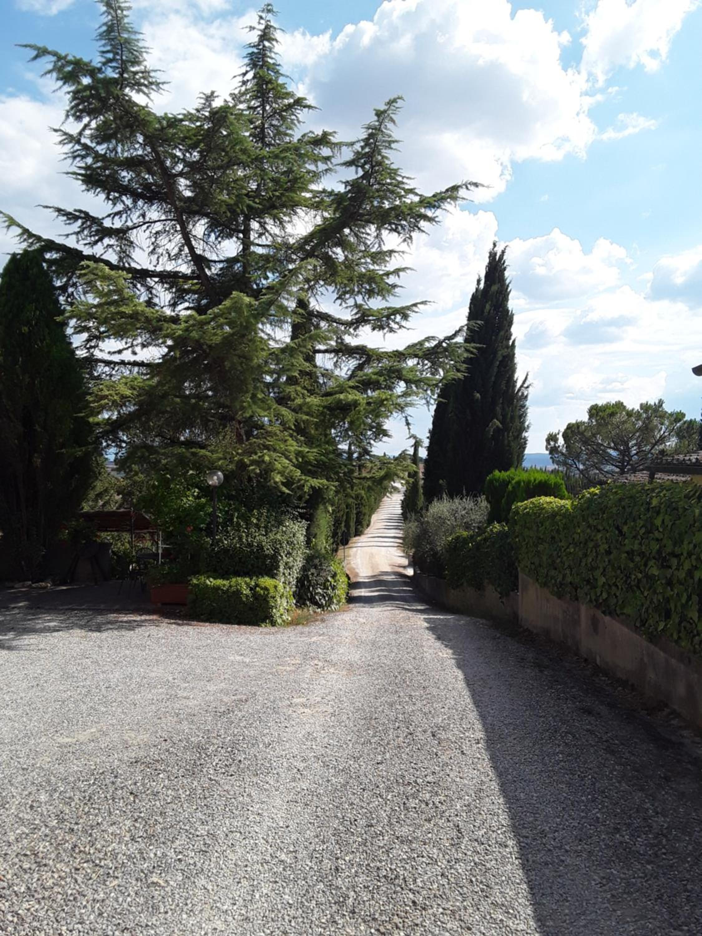 Agriturismo Il Colle