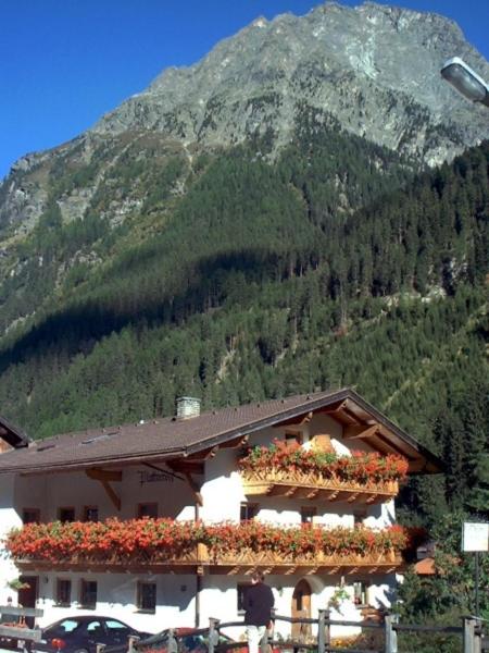 Plattnerhof Kaunertal view 5