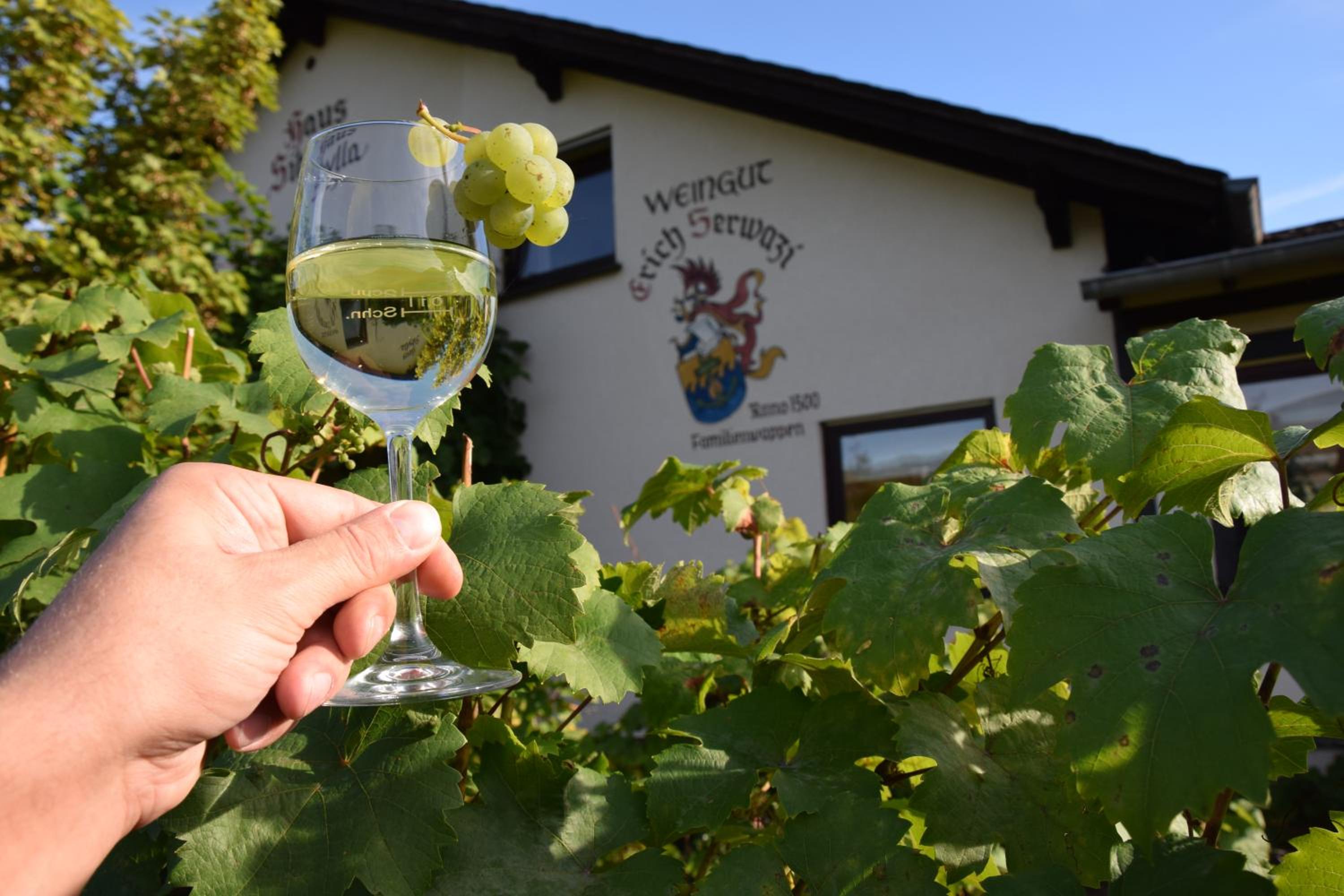 Weingut Erich Serwazi