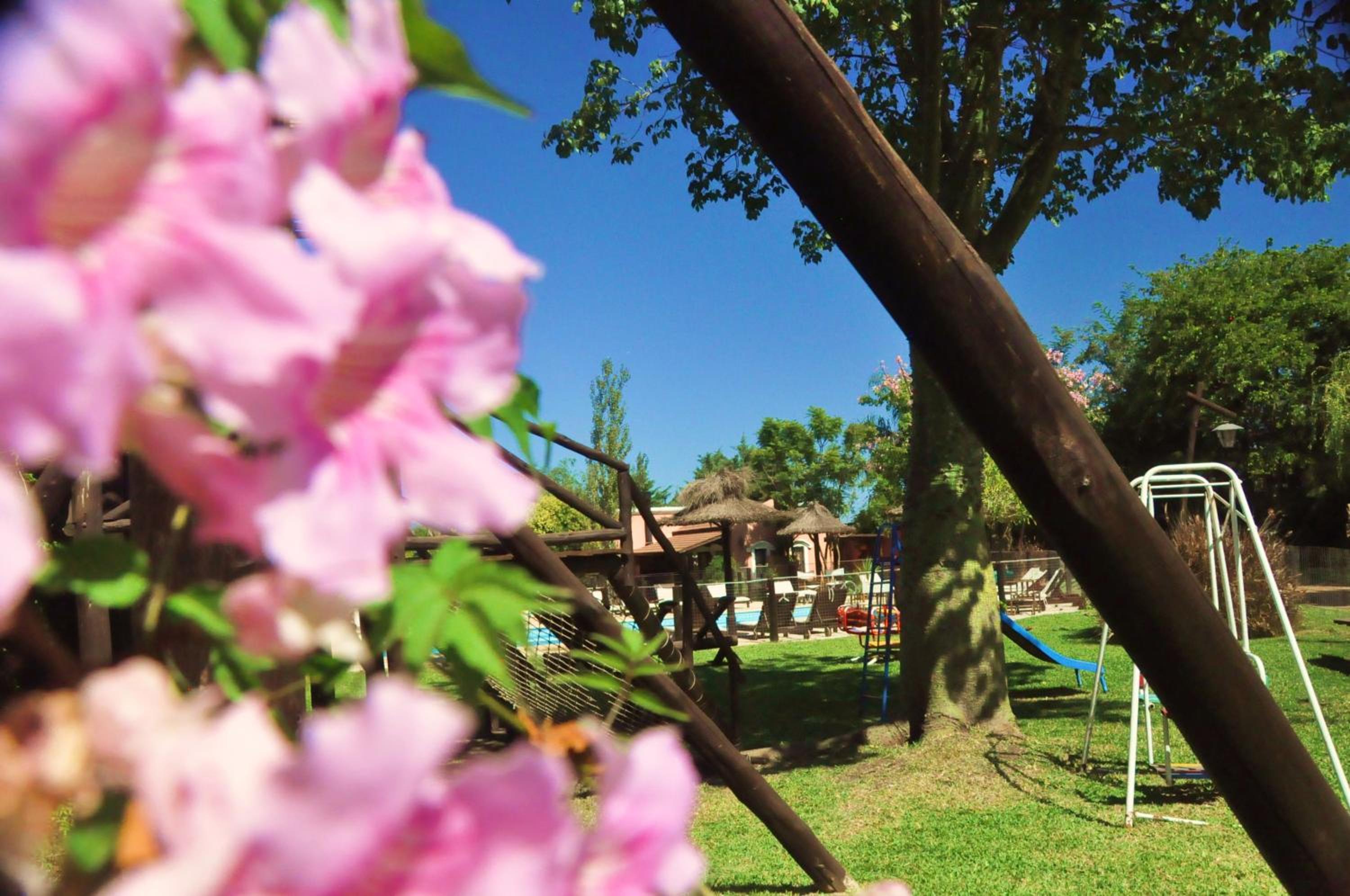 Cabañas del Ysyry