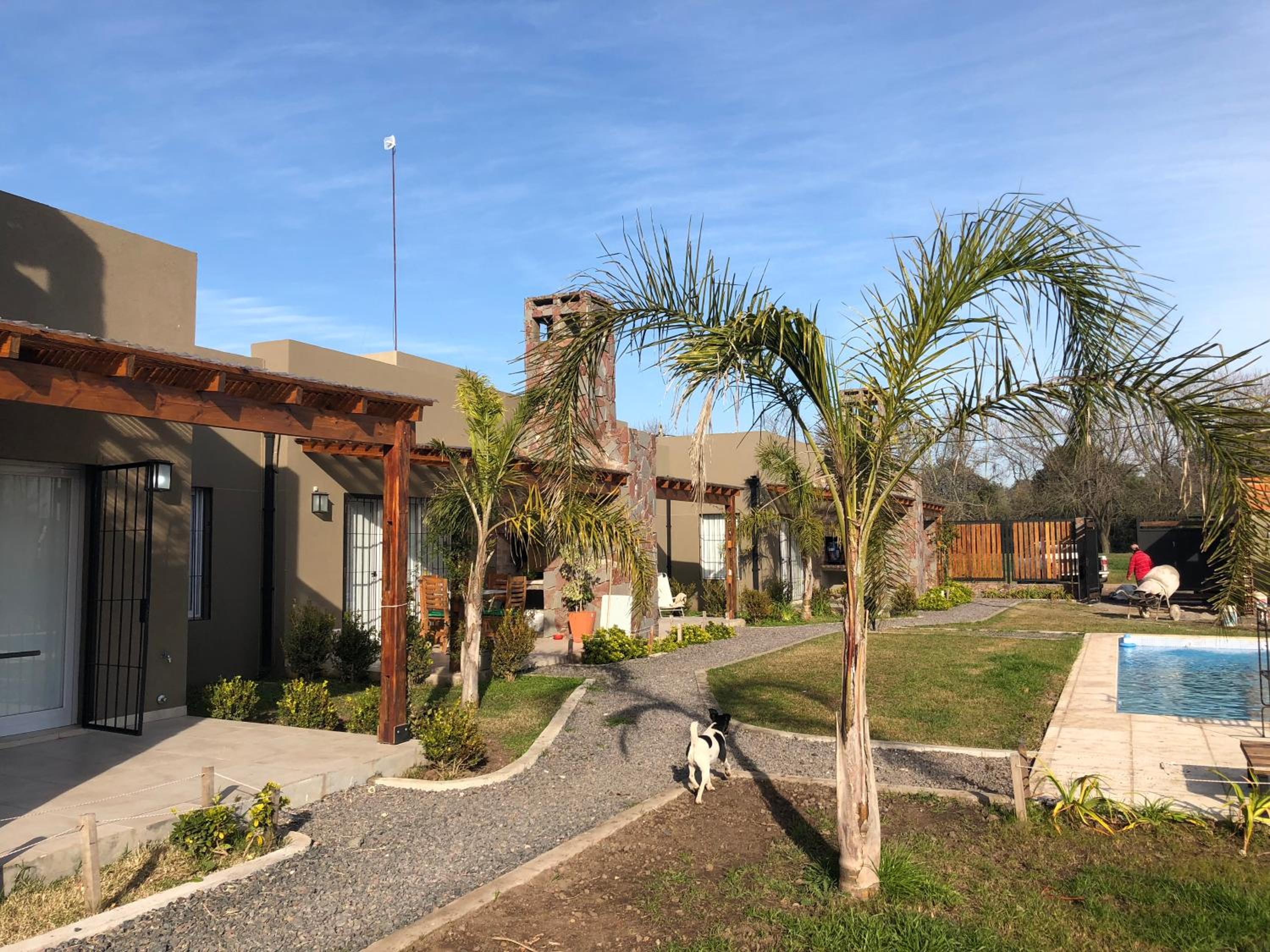 El esparto