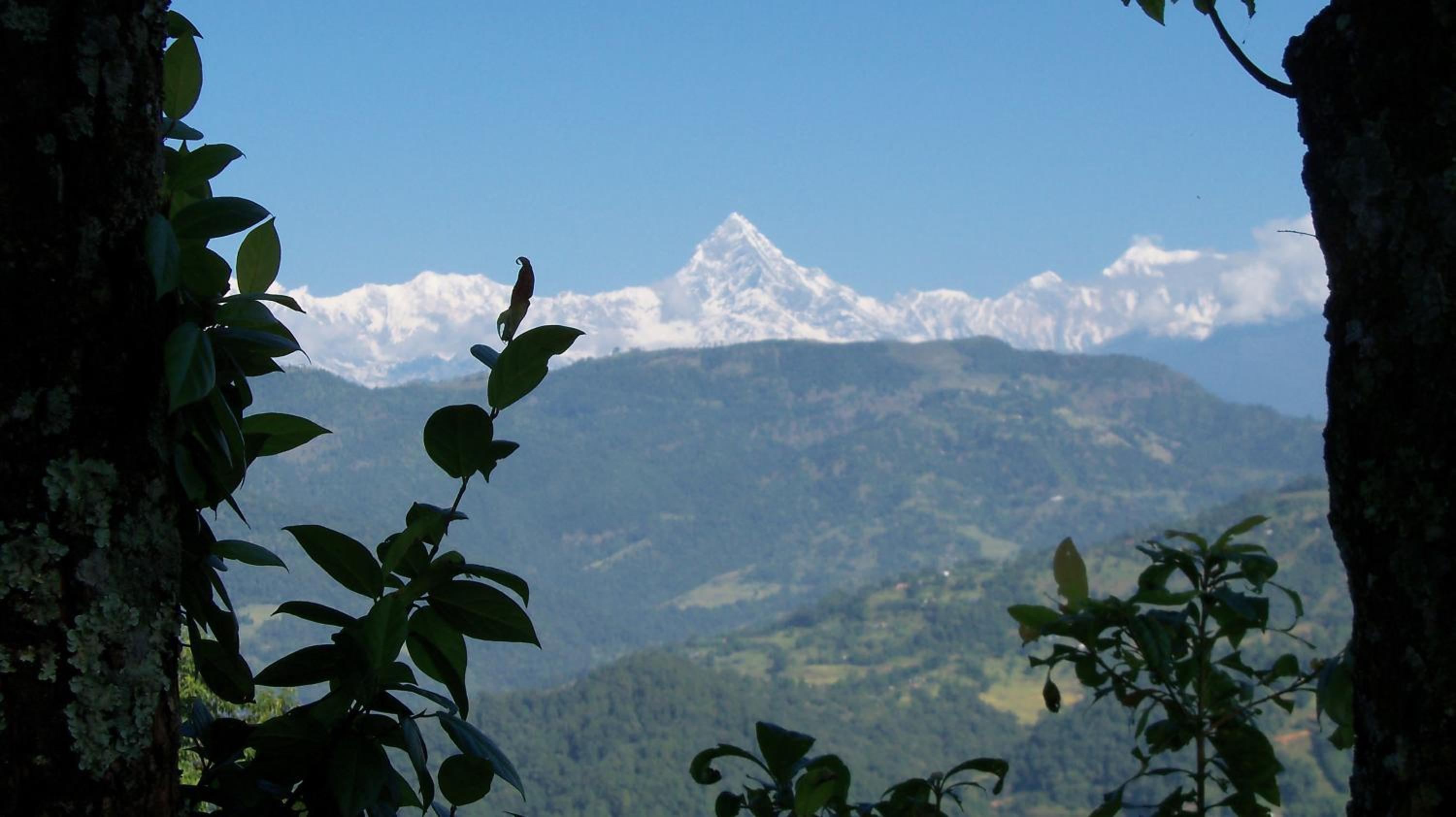 Dinesh House view 4