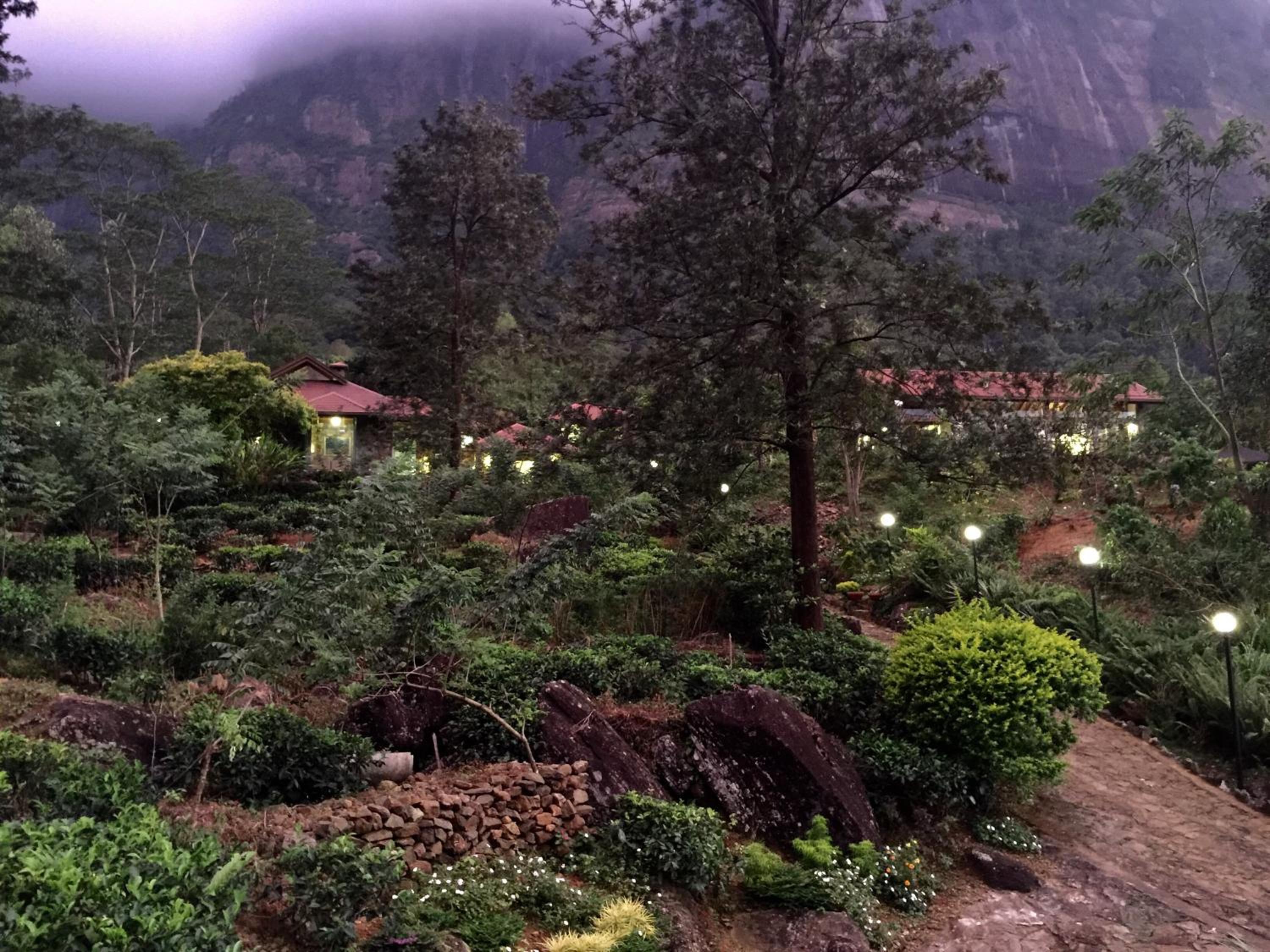 Macushla Sanctuary view 2