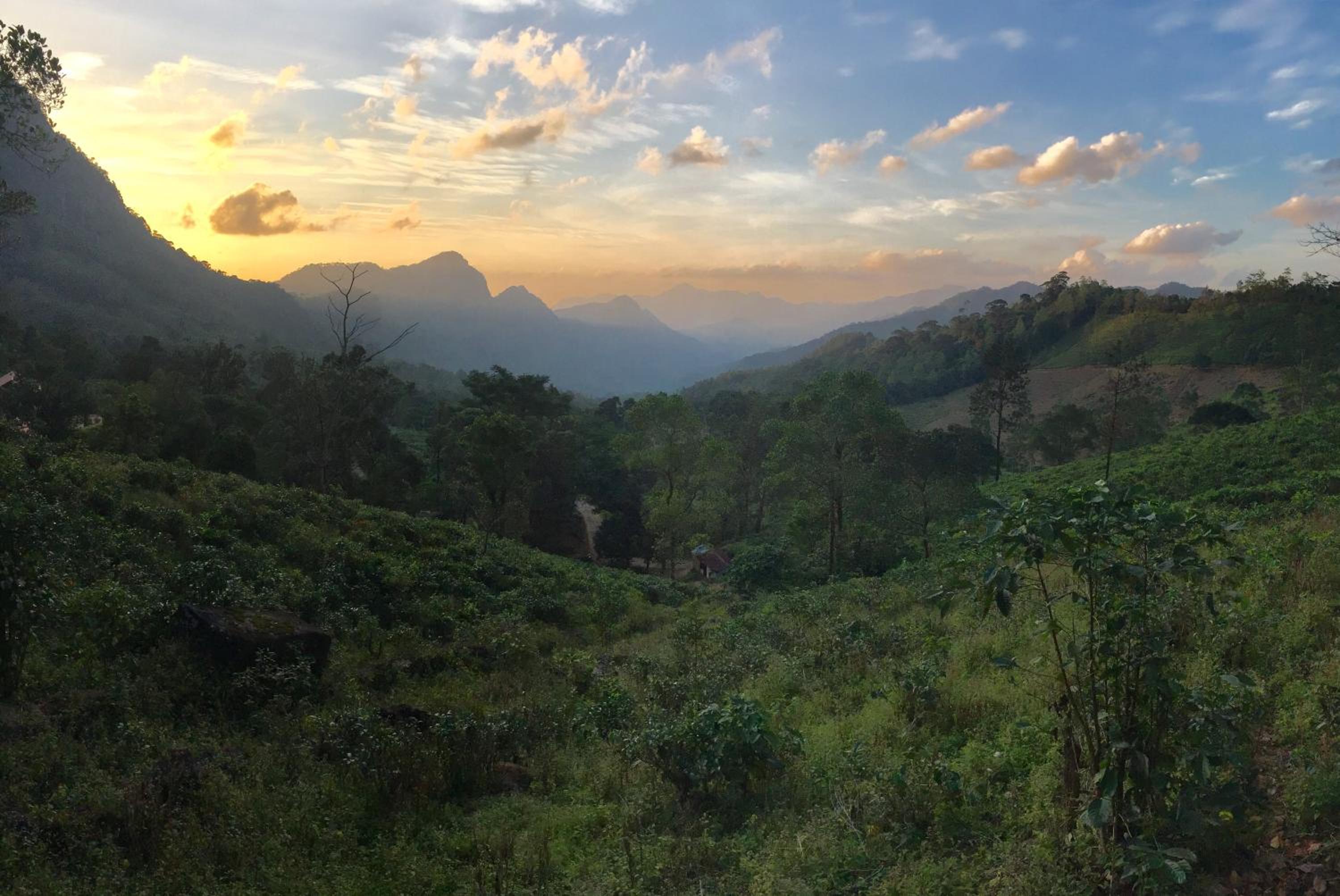 Macushla Sanctuary view 5