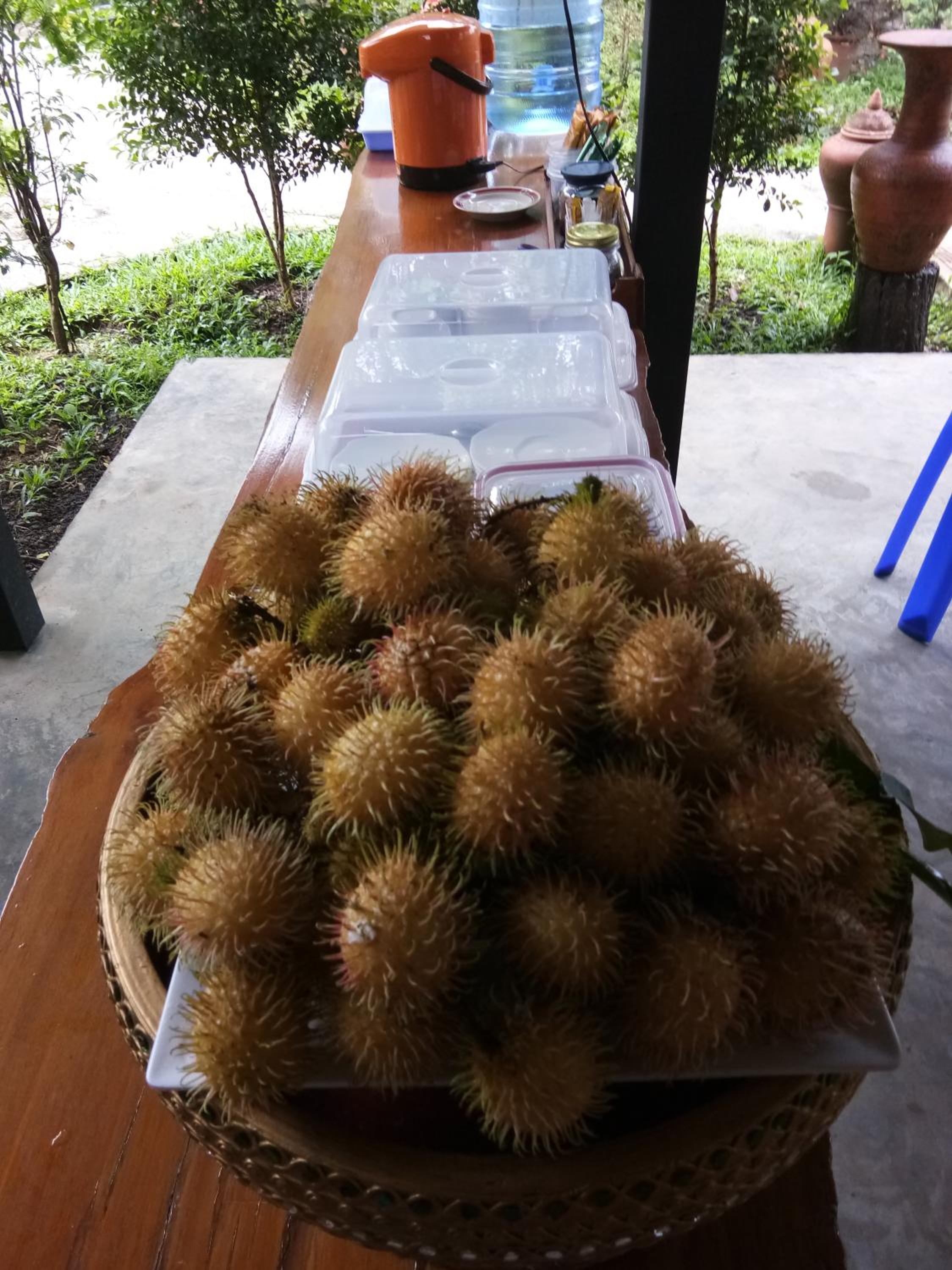 Photo 43