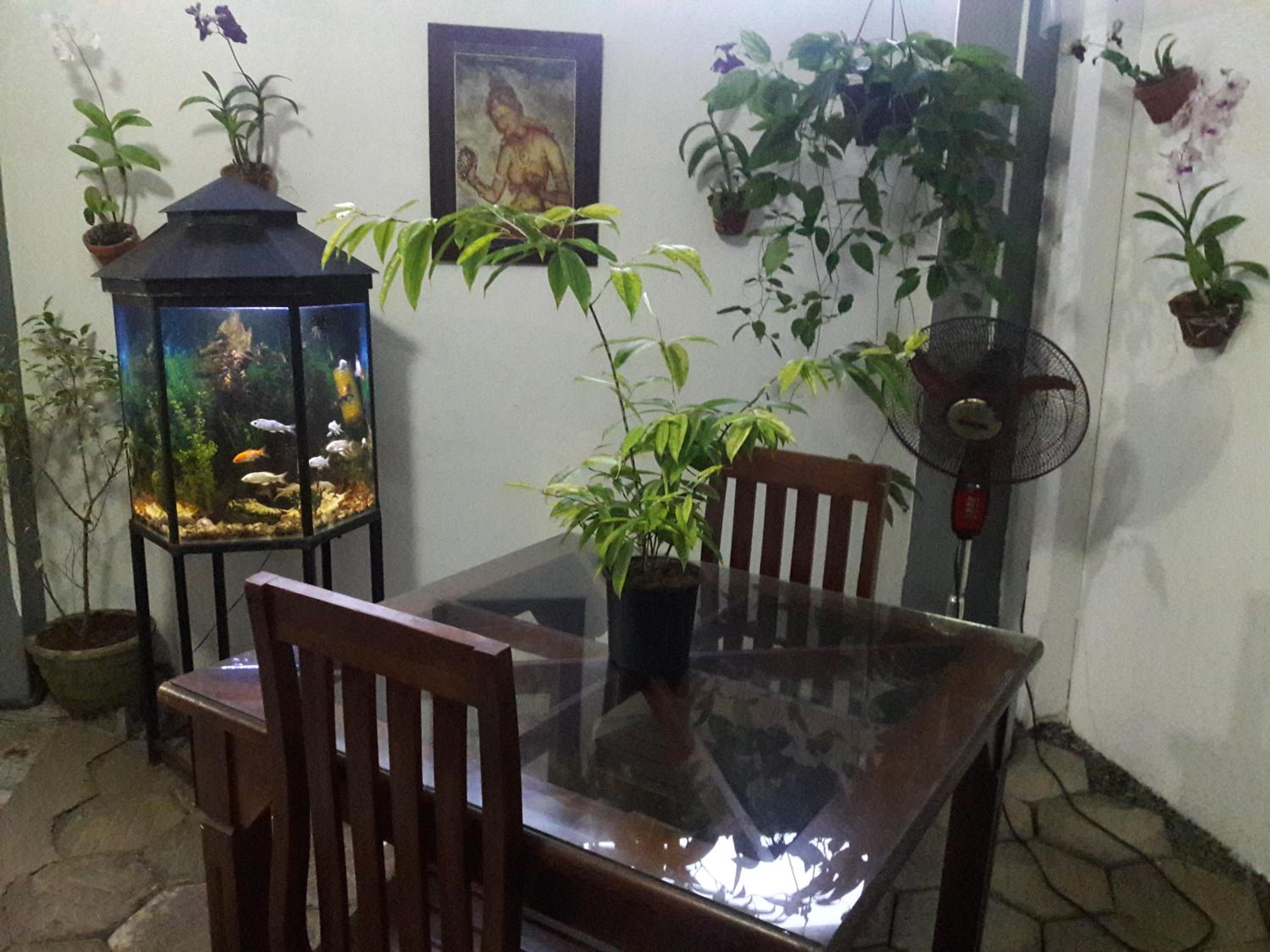 Aayu's Guest view 2