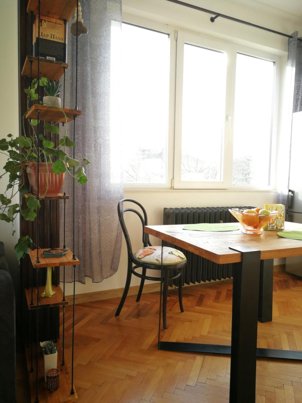 Sunny Downtown Apartment for 4