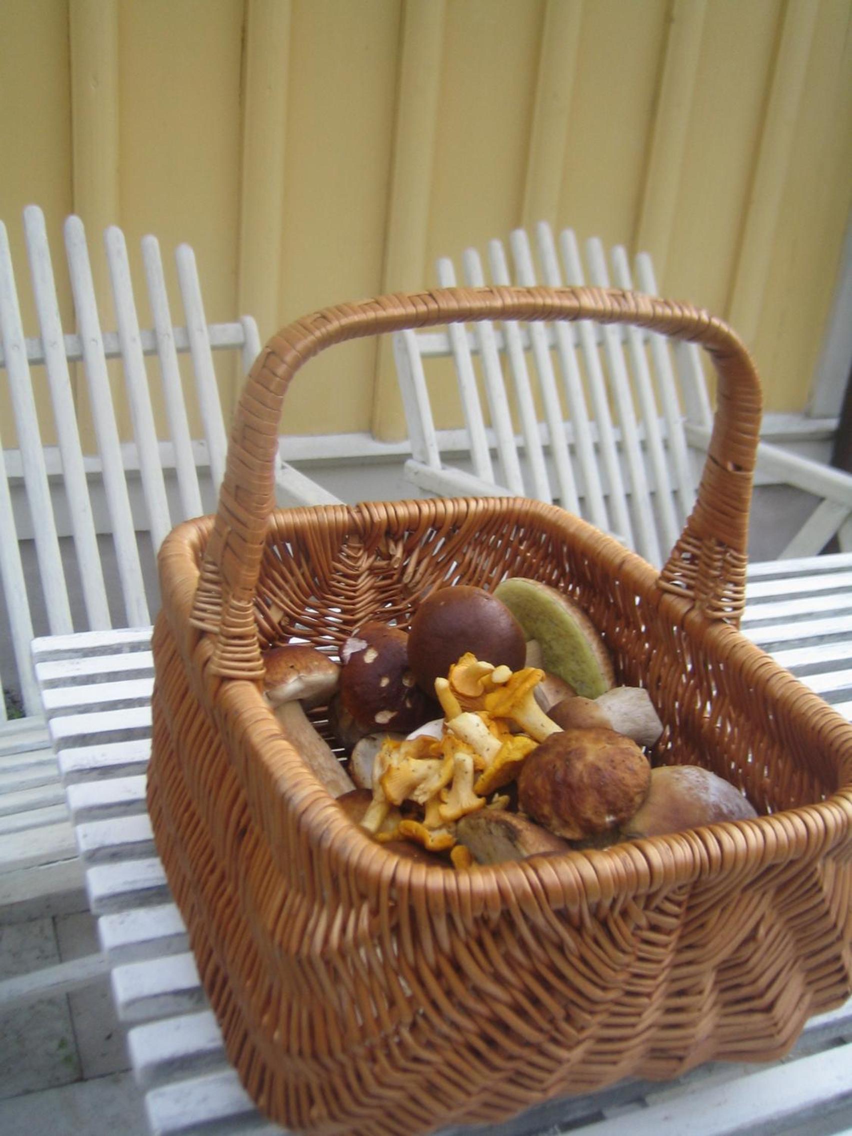 Photo 40