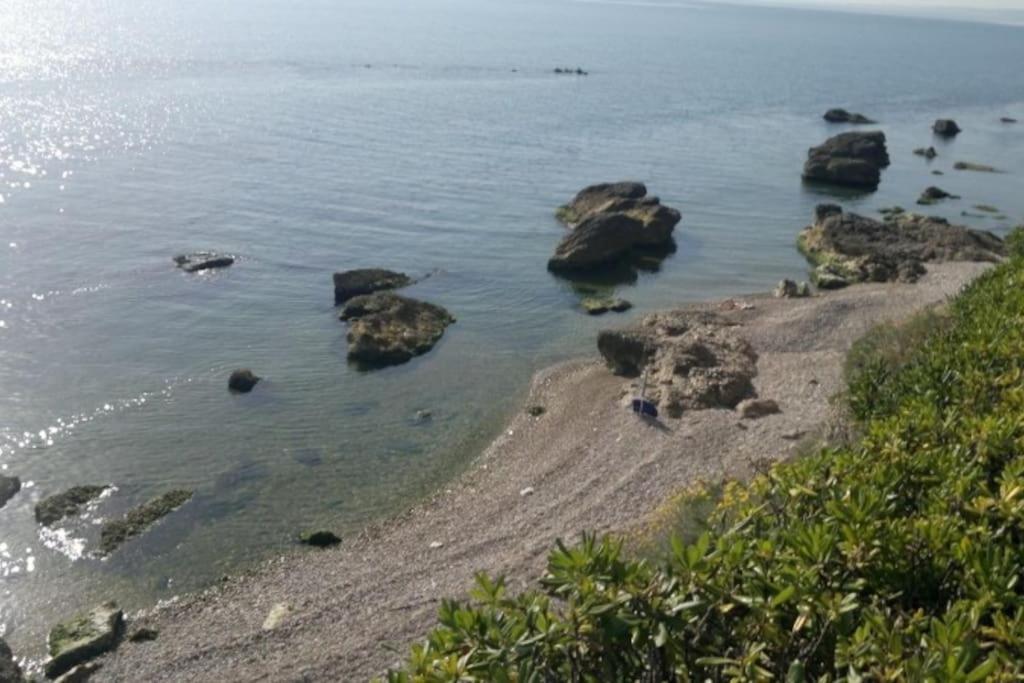 Photo 14