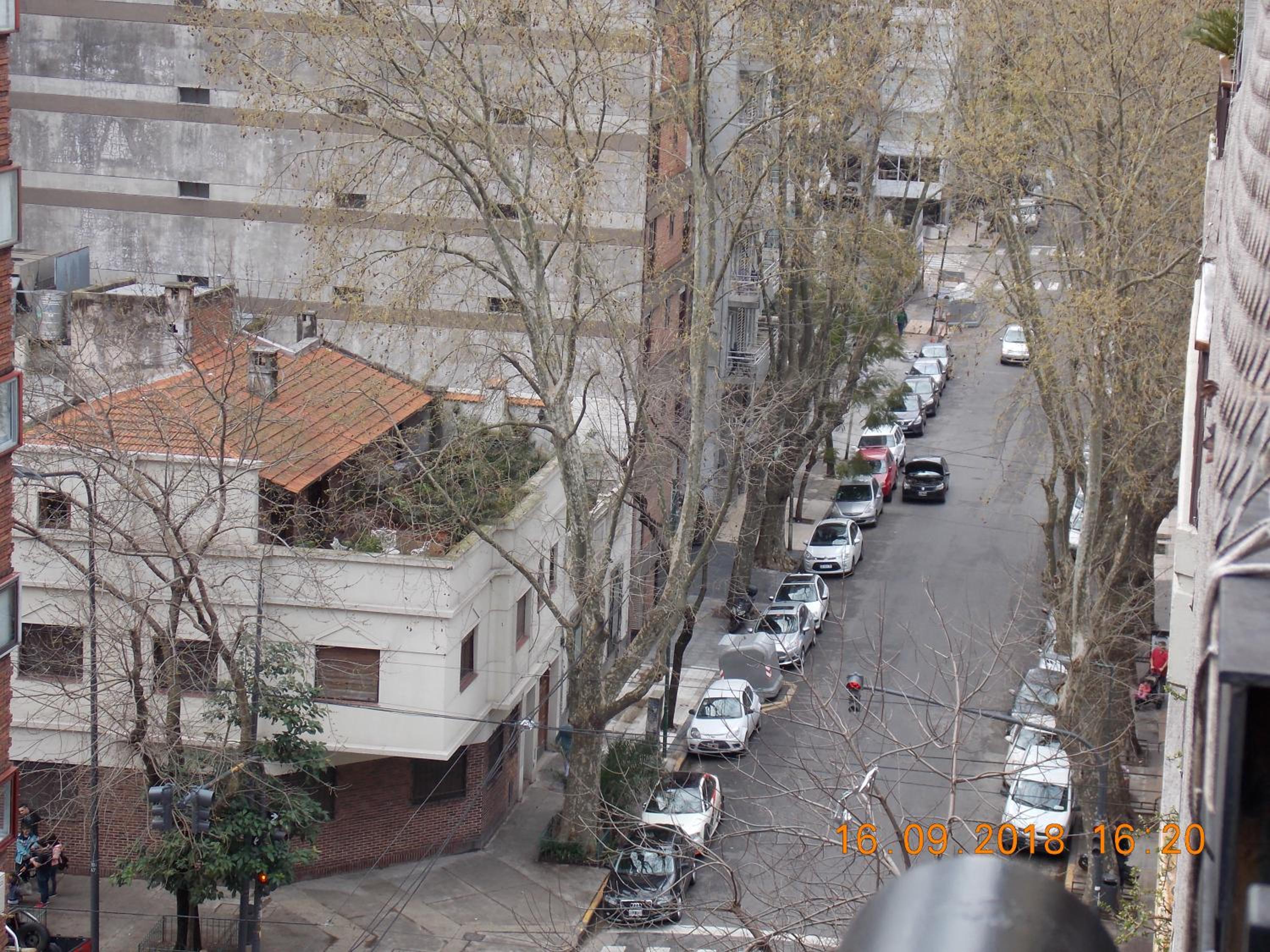 Bosques & Lagos Palermo