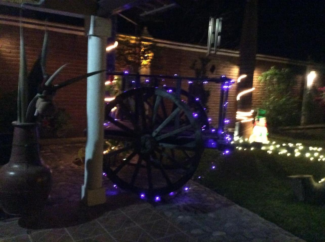 Photo 14