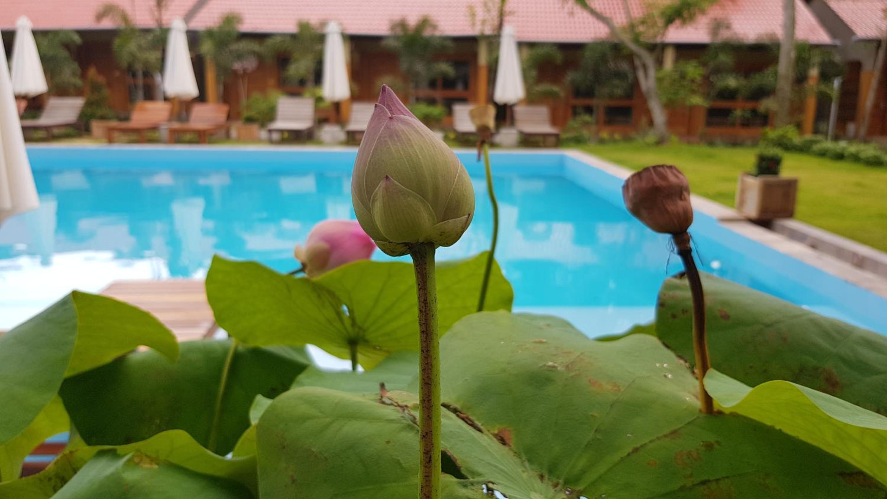 Azura Resort Phu Quoc