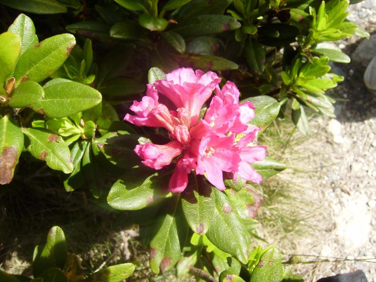 Photo 25