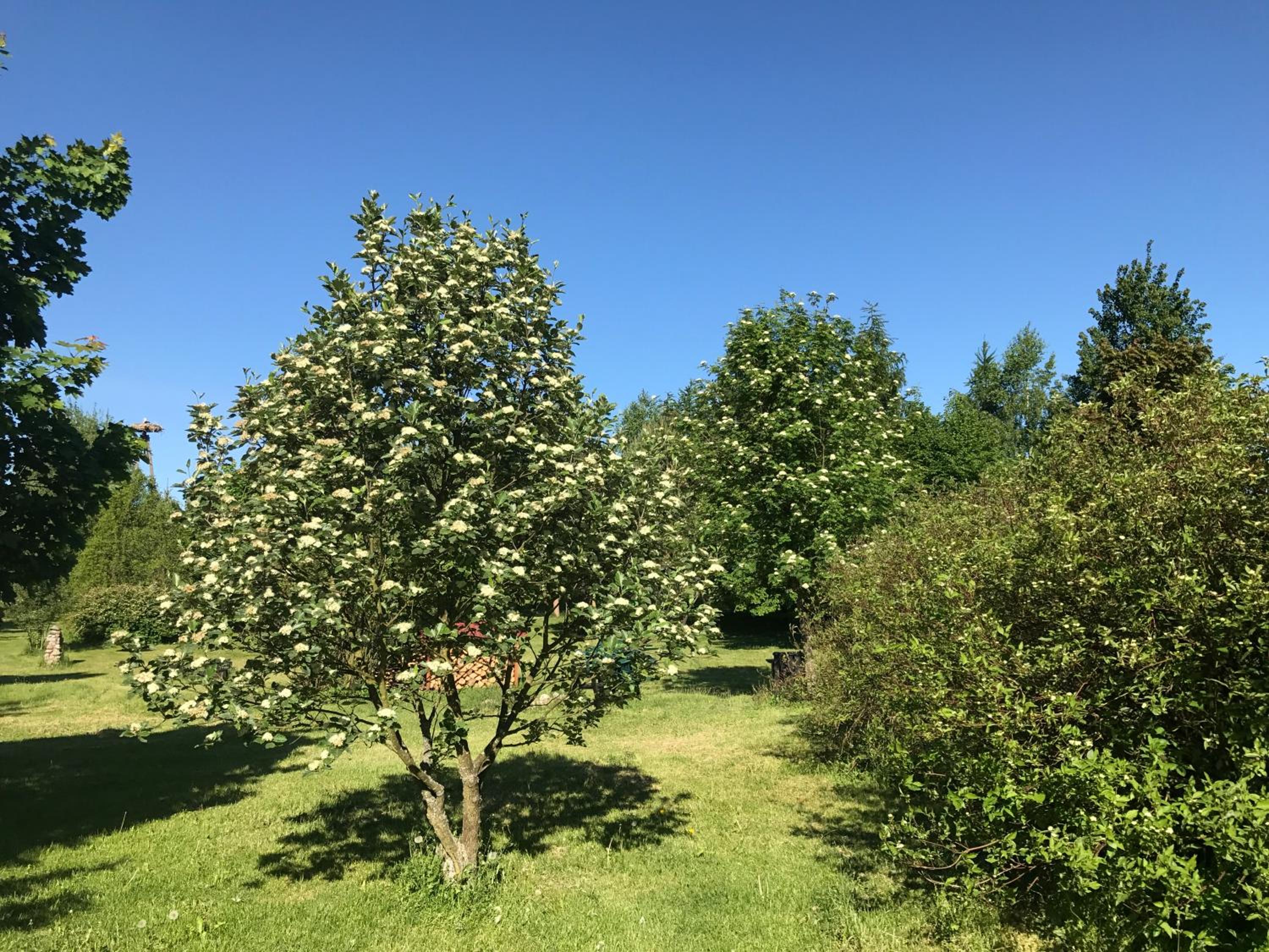 Photo 26