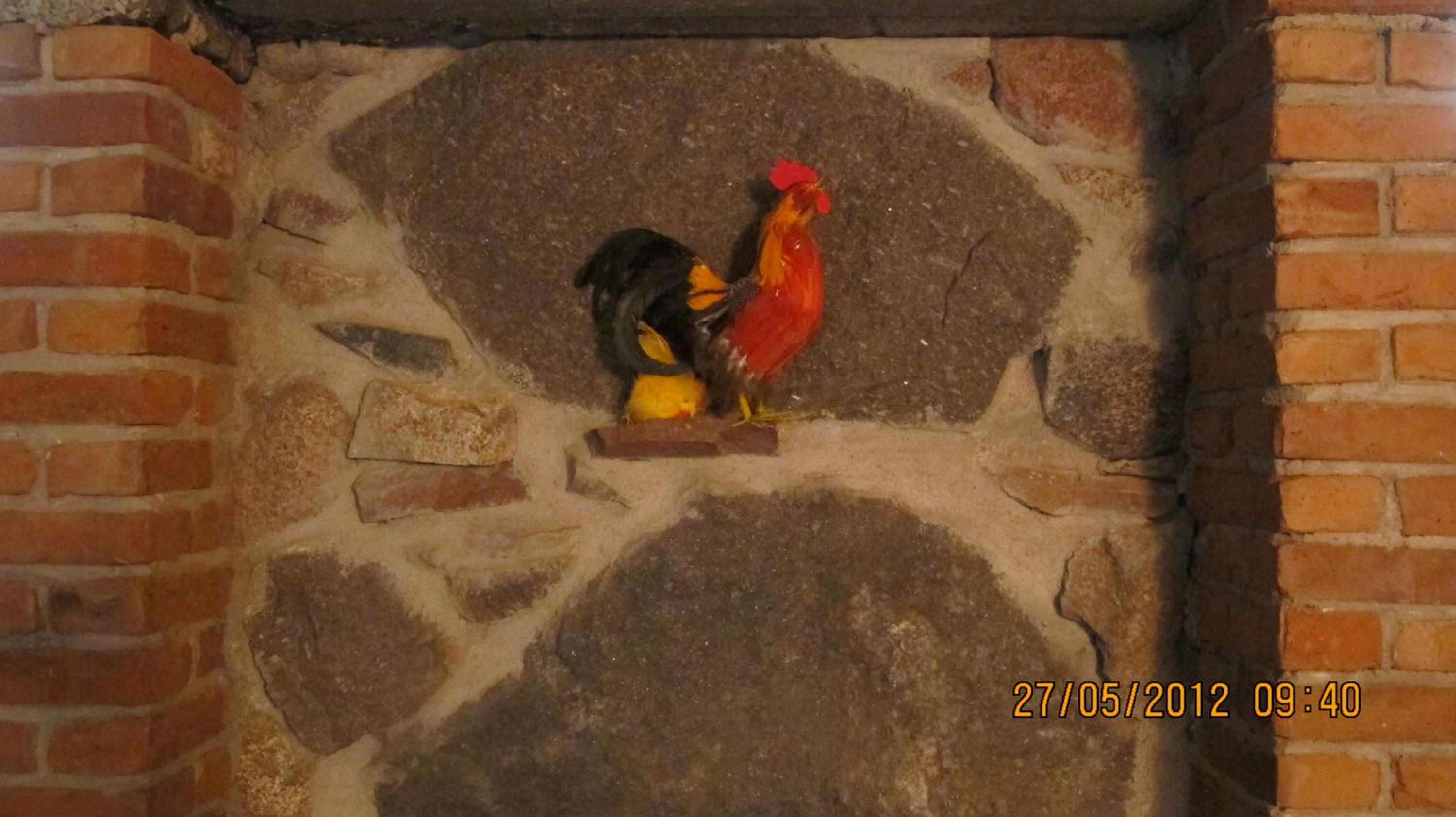 Photo 24