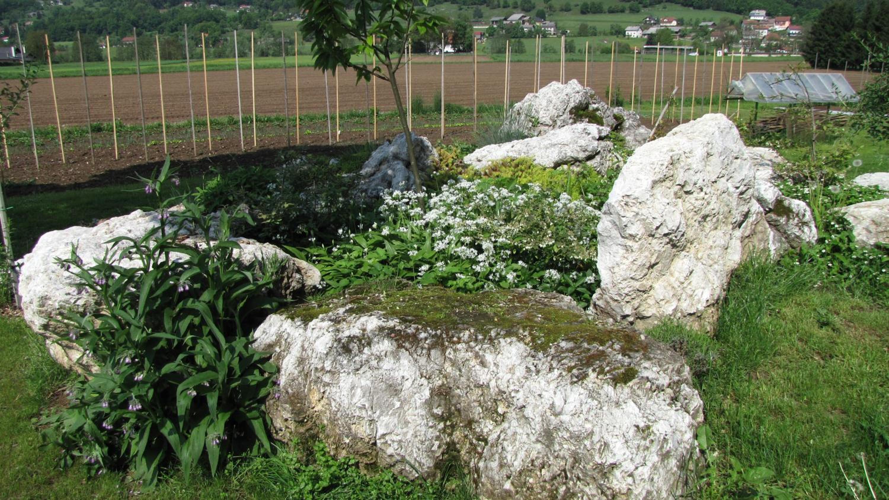 Photo 16