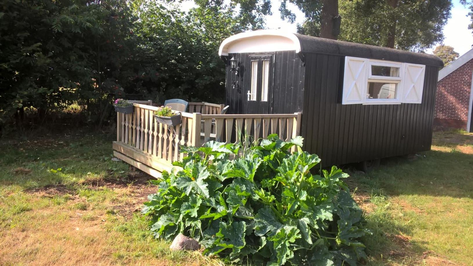 Pipowagen Lidewei Groningen Westerwolde unieke ligging met eigen tuin en vrij uitzicht over veld naar natuurgebied
