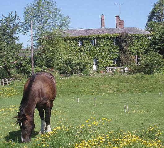 Photo 9