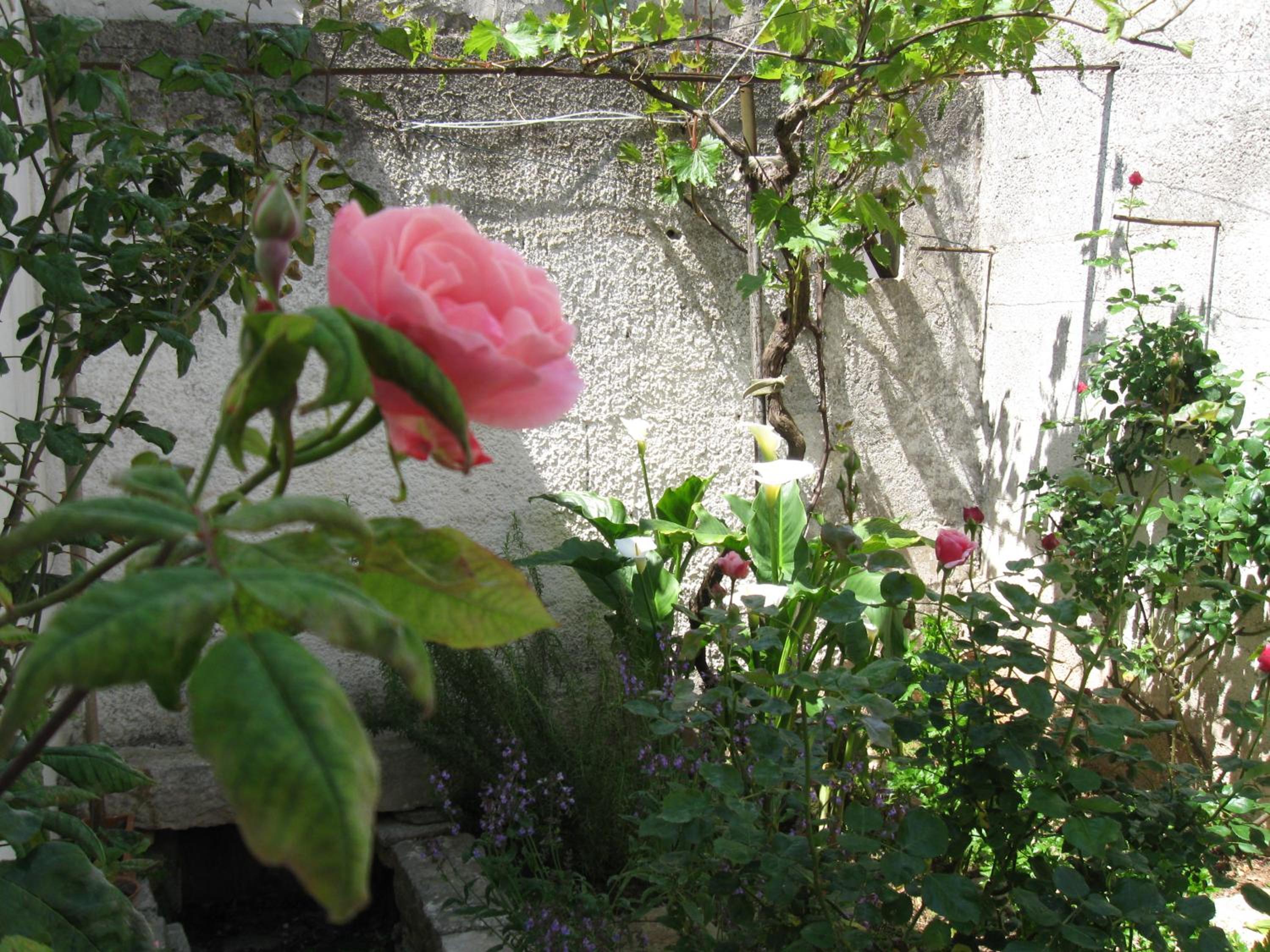 Photo 30
