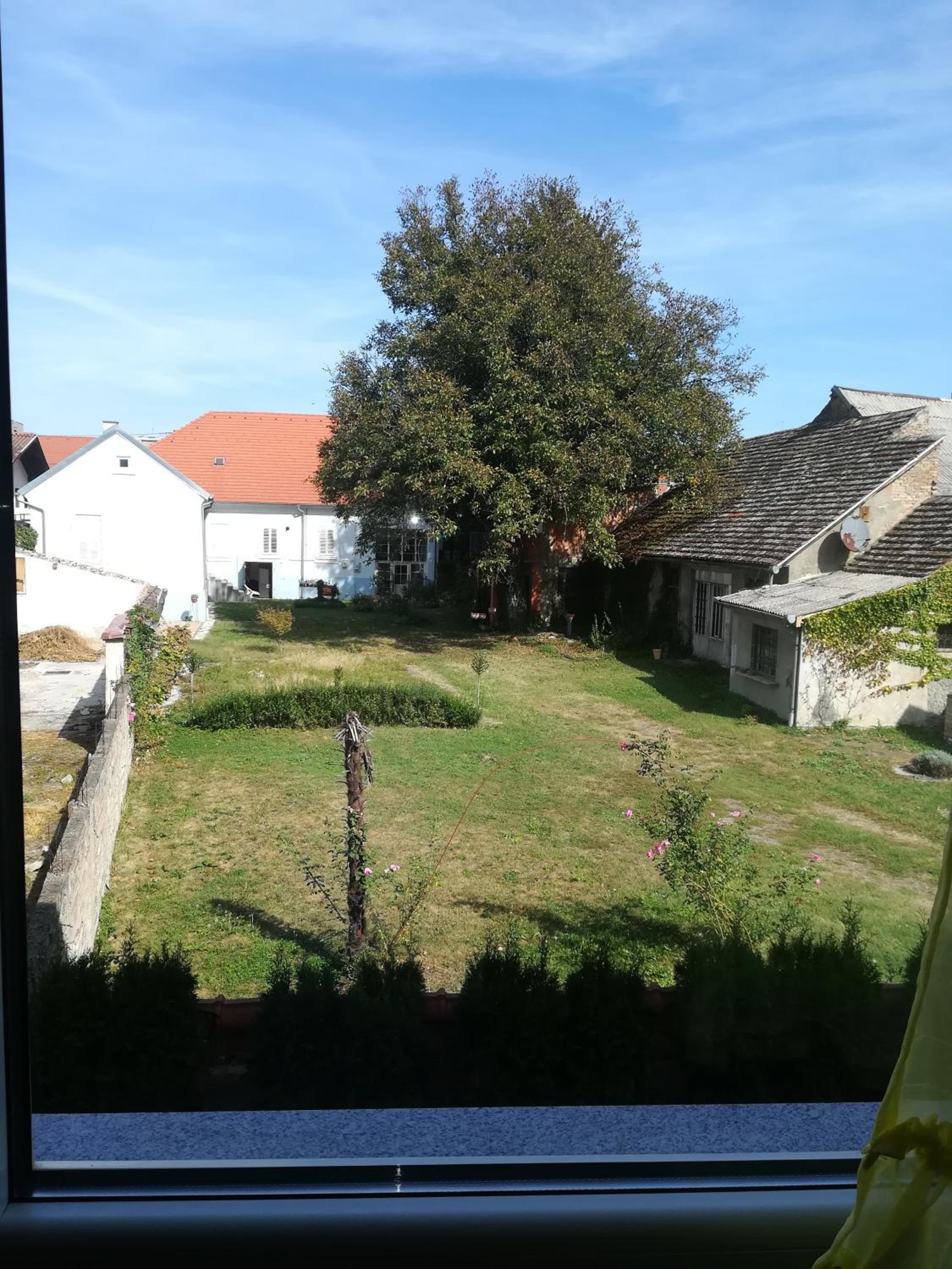 Photo 38