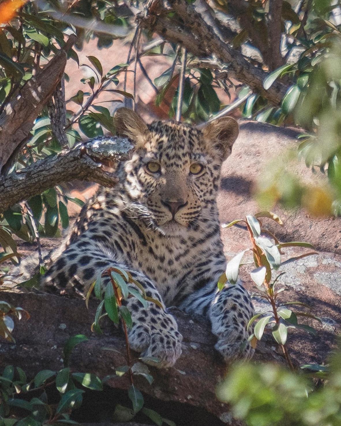 57 Waterberg