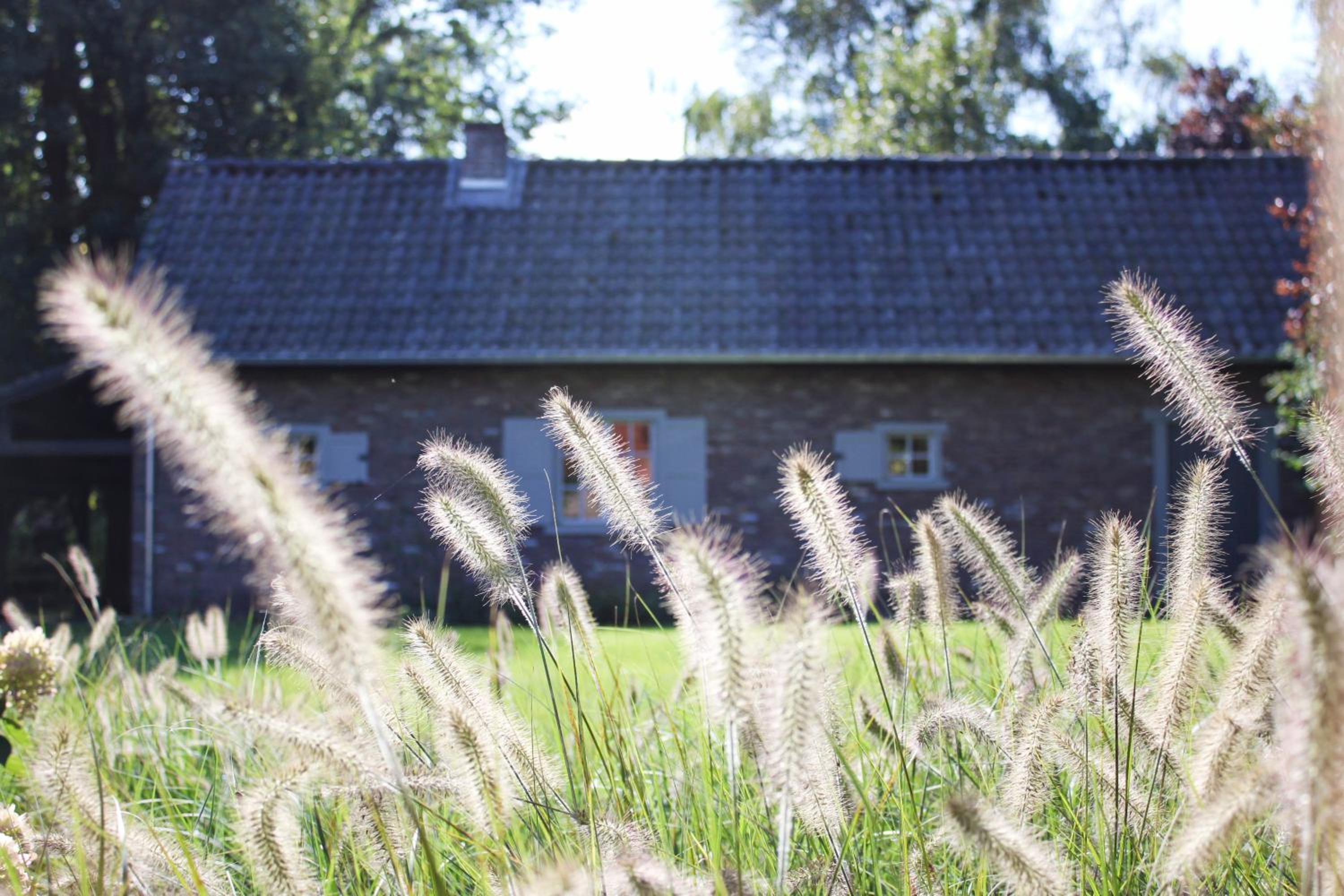 De Hoog Weyen