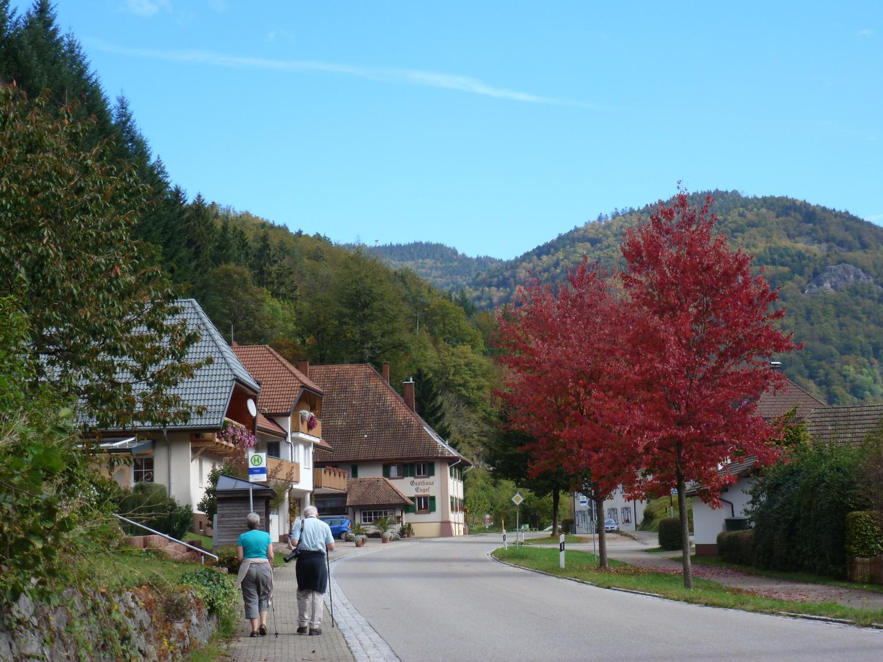 Photo 25