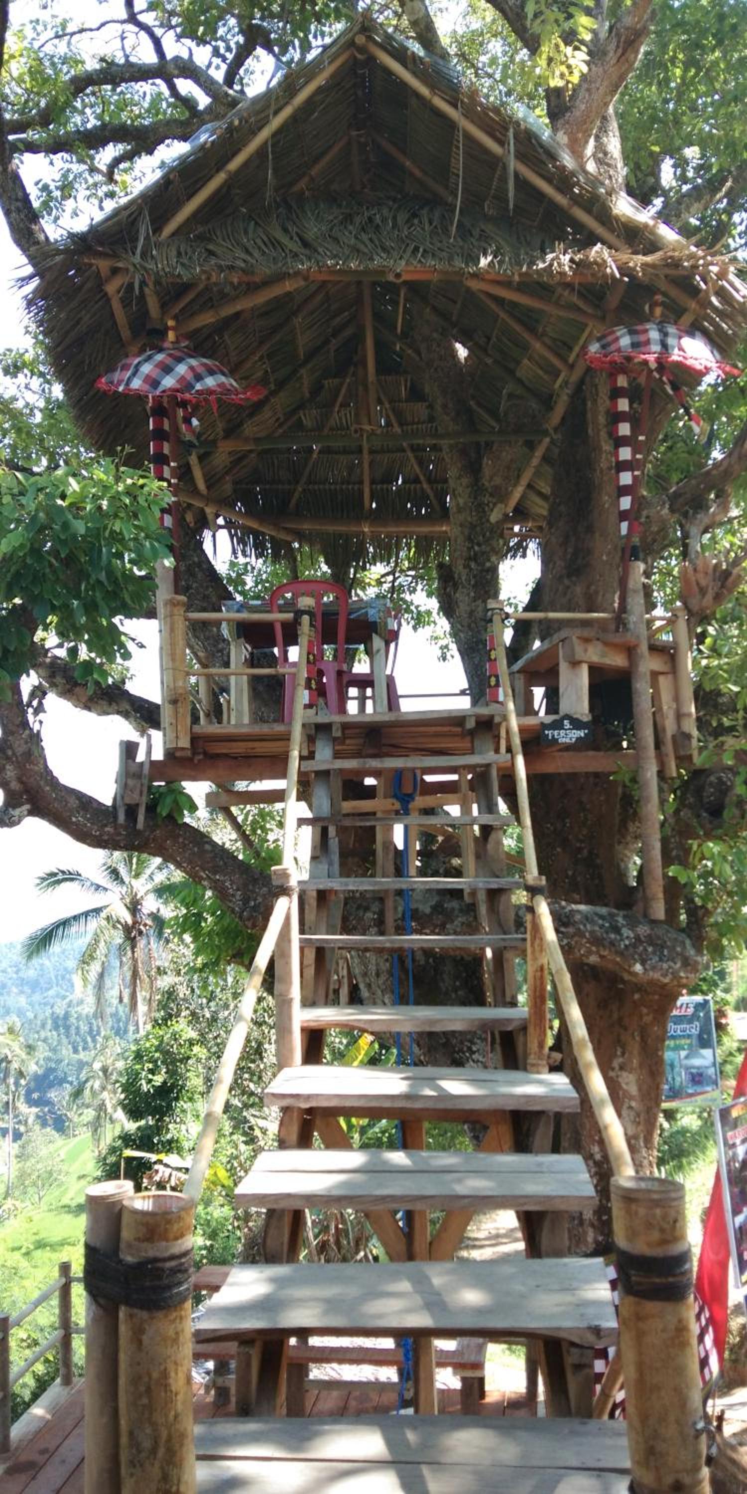 DWM ESA di Kubu Homestay By Reccoma
