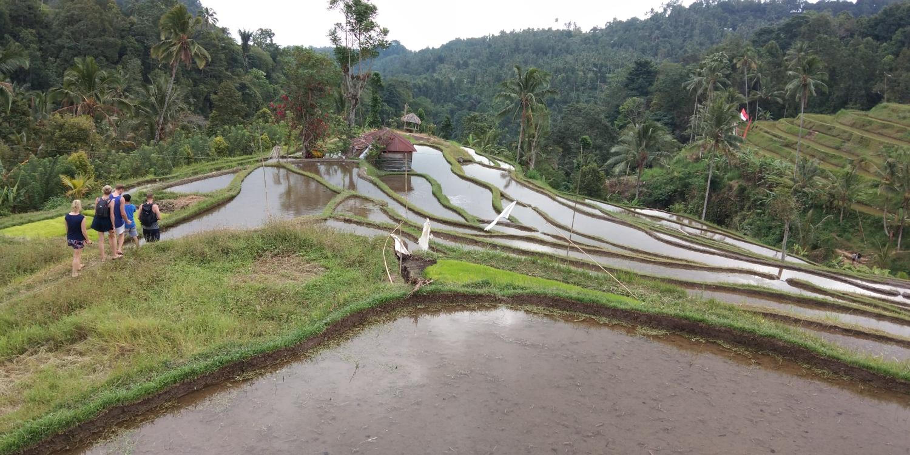 DWM ESA di Kubu Homestay By Reccoma