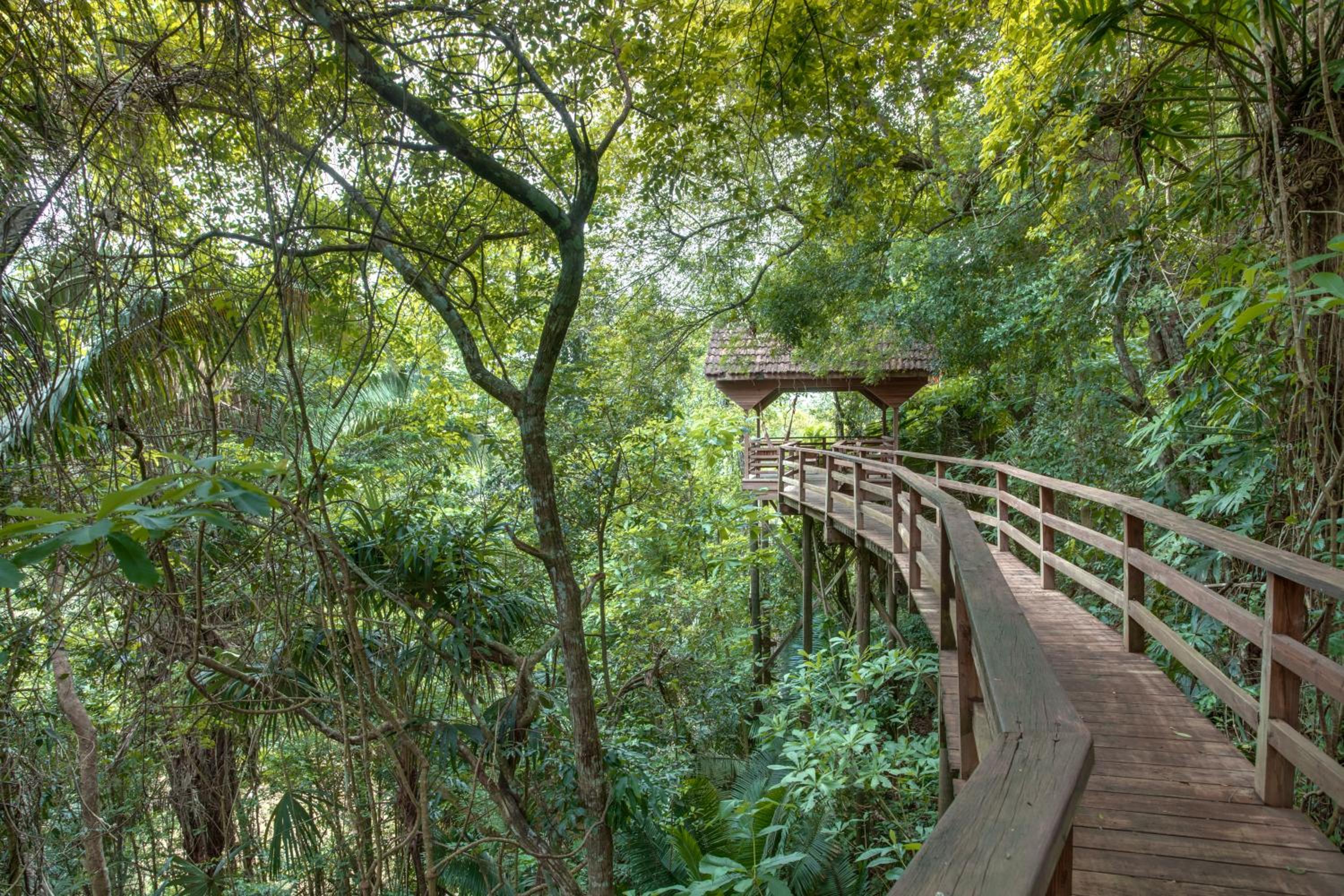 Sweet Songs Jungle Lodge