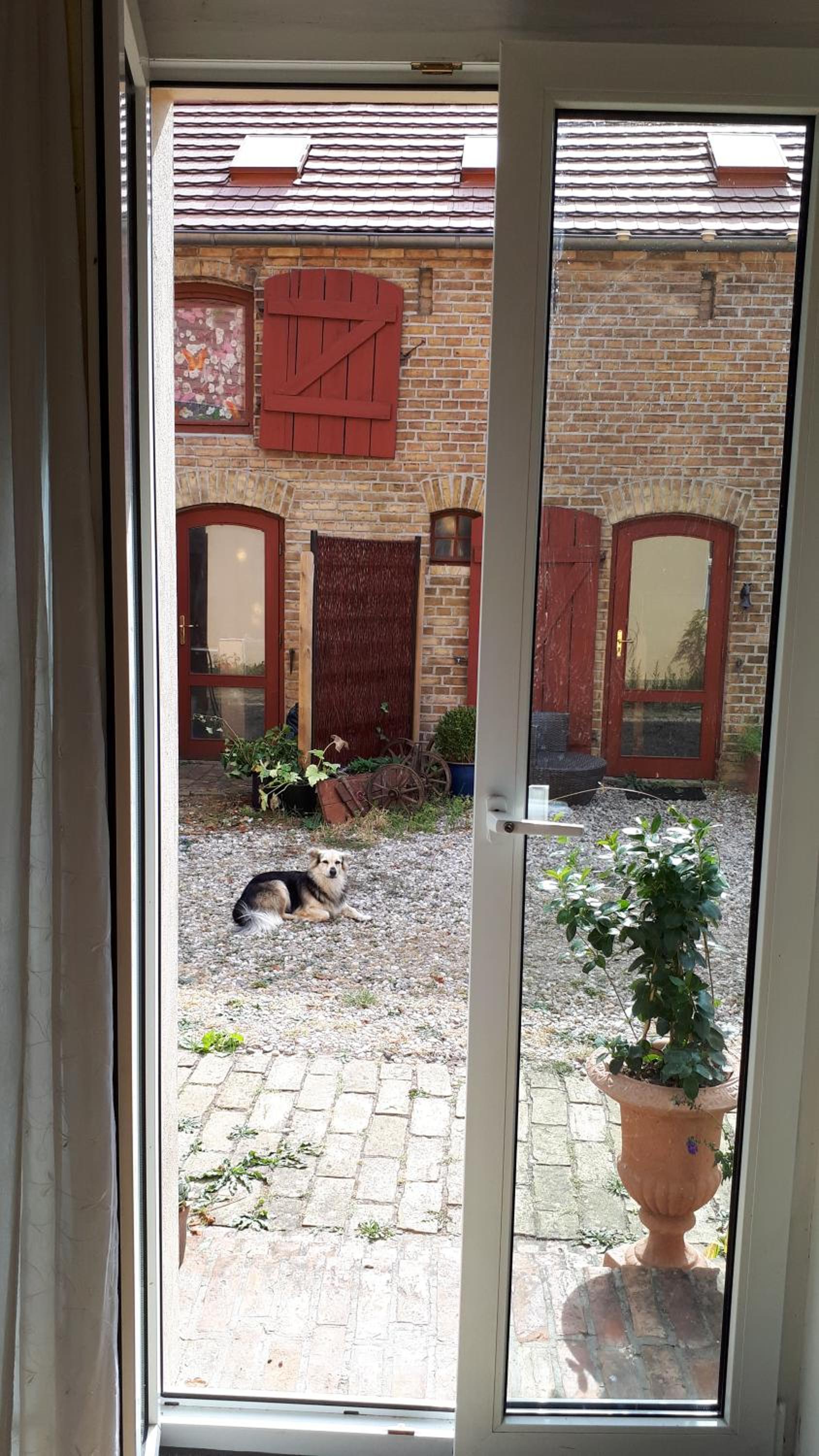 Blumenhaus