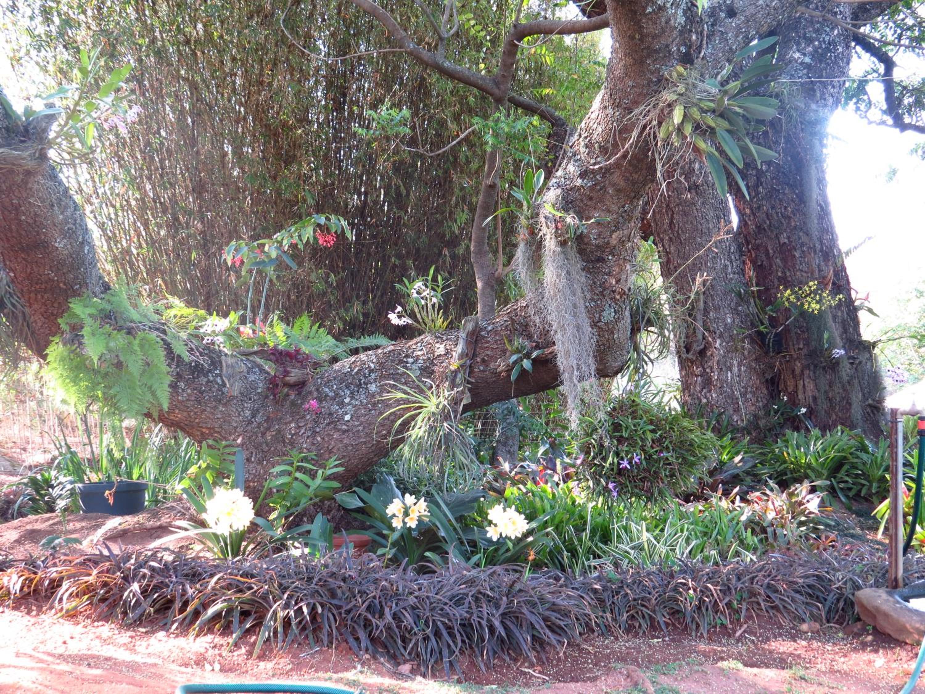 Eden Cottage
