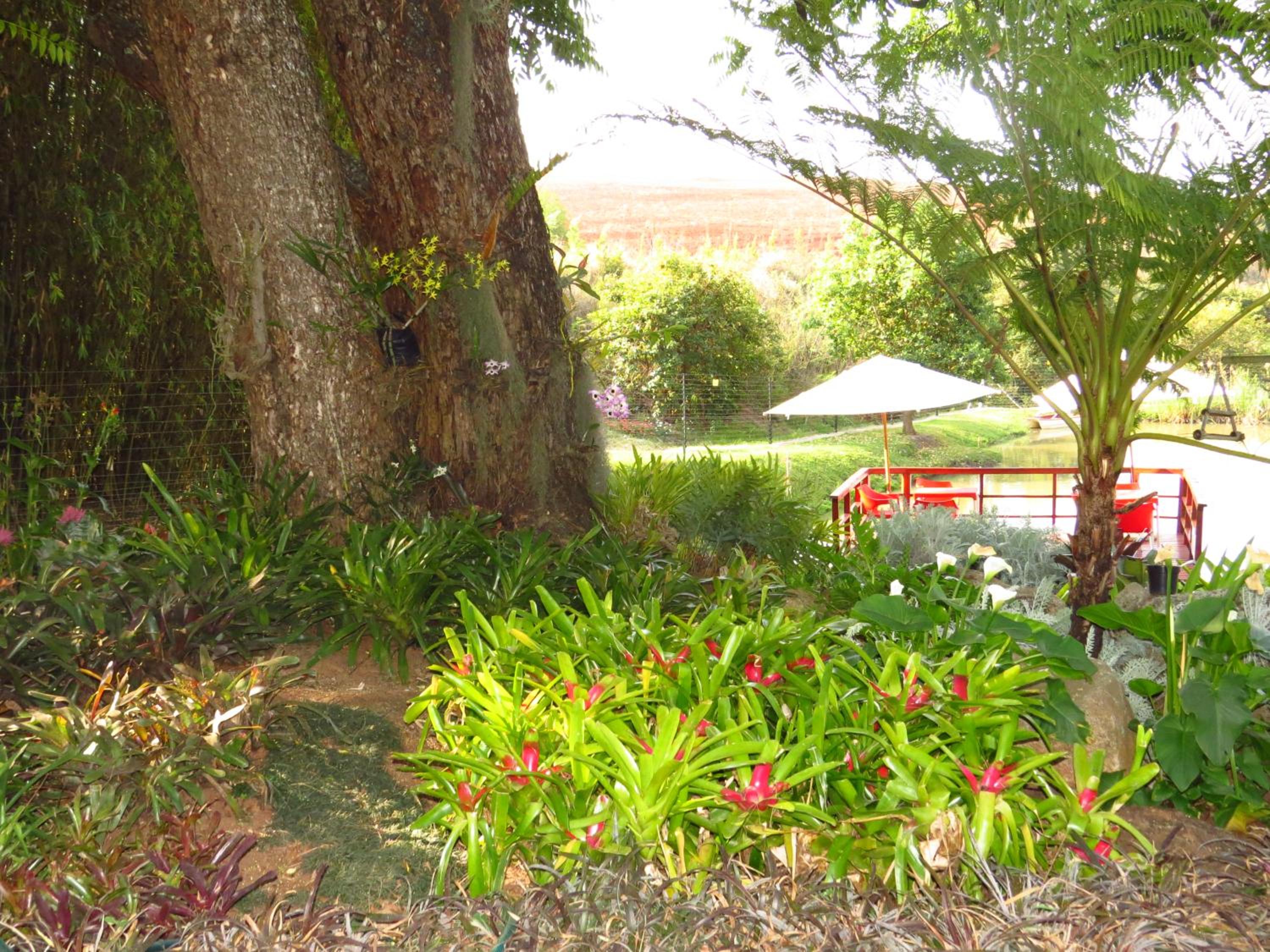Eden Cottage