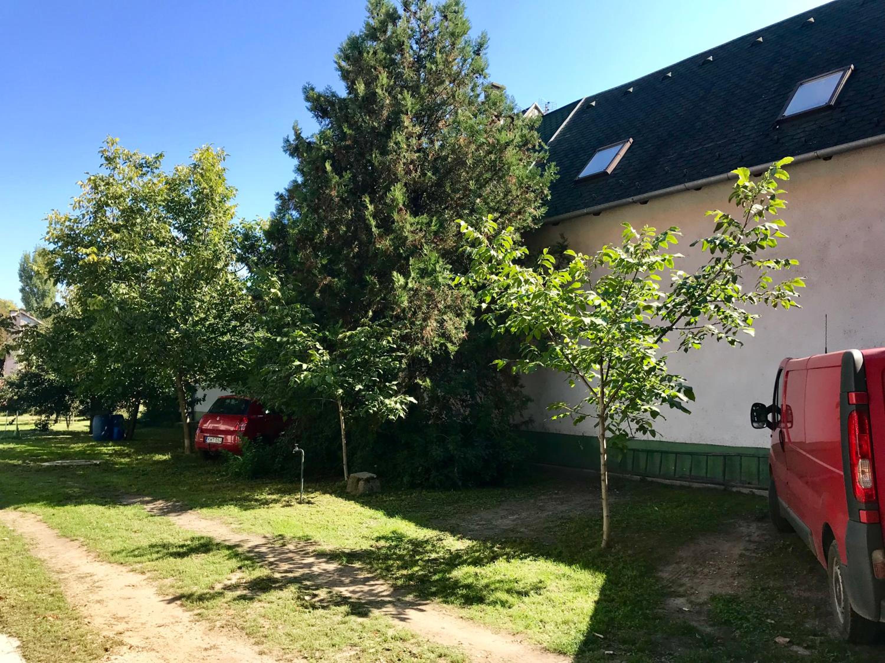Photo 18