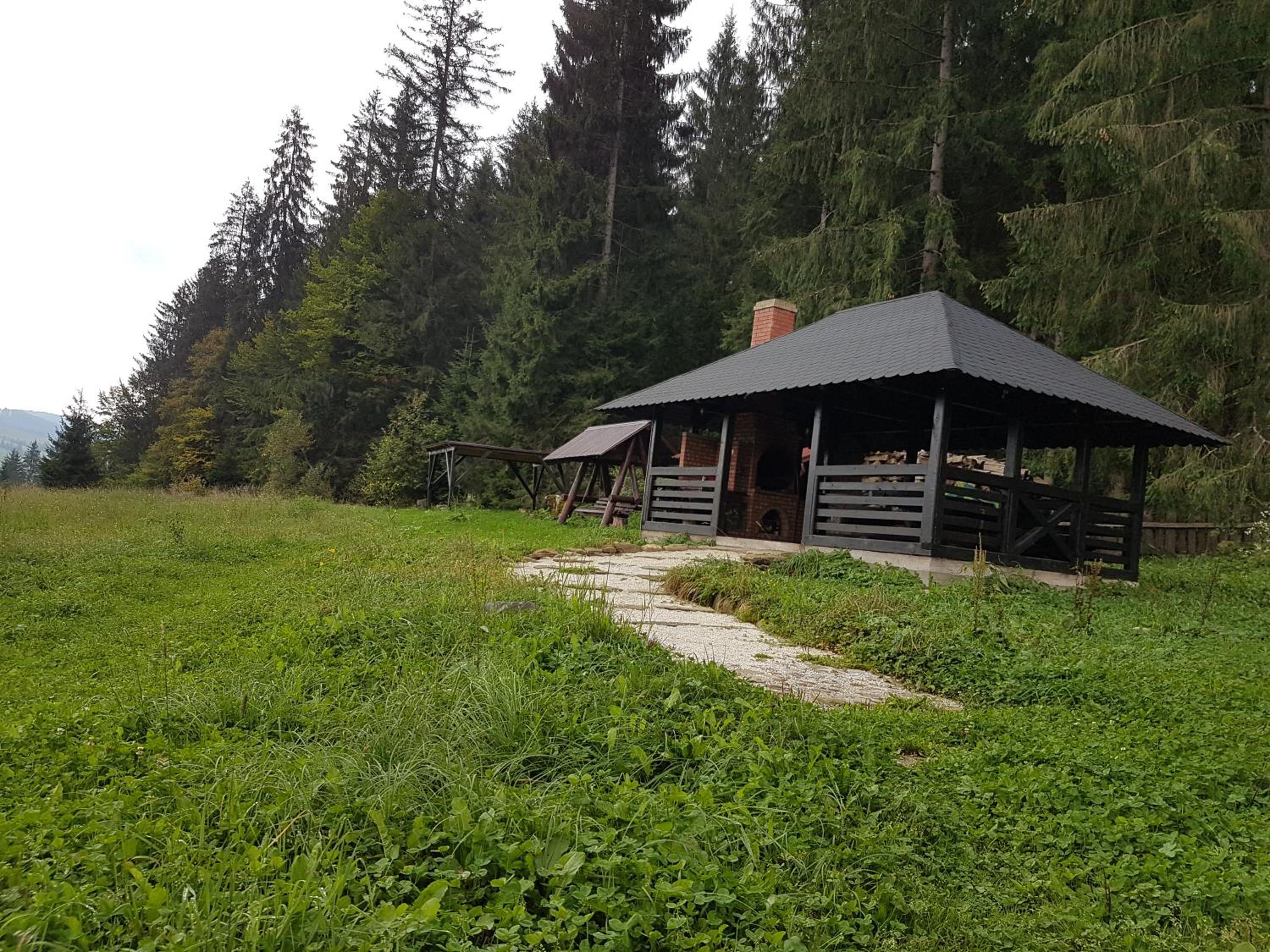 Photo 15