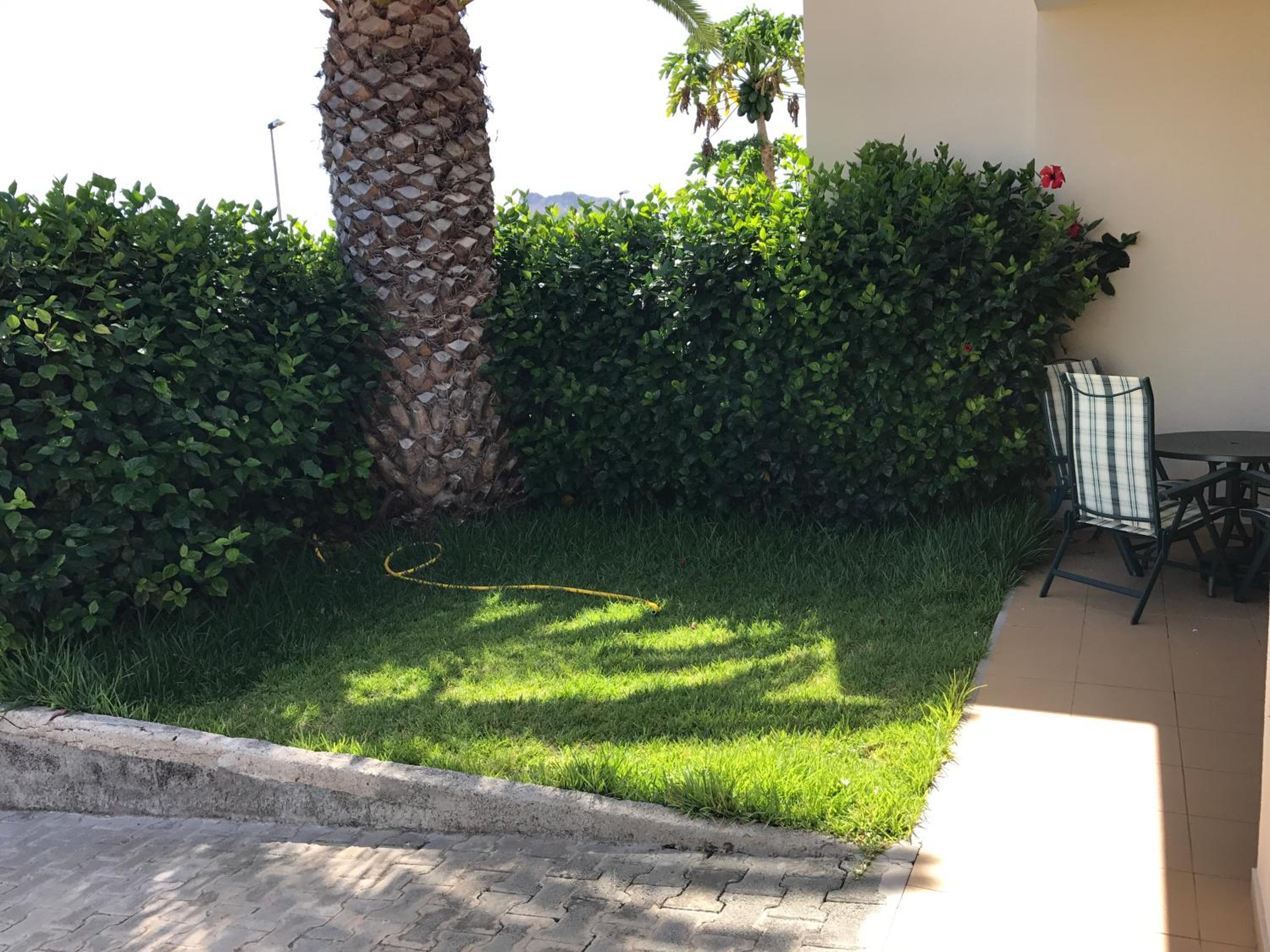 Photo 37